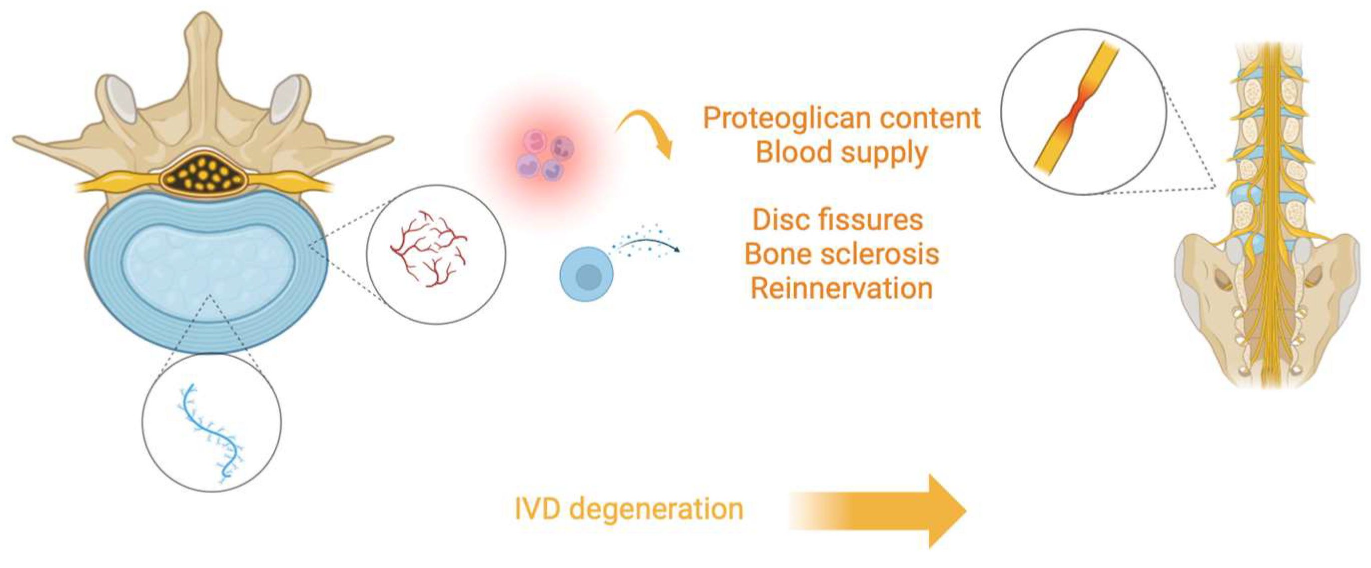Jcm 13 05915 g001 Jcm 13 05915 g001
