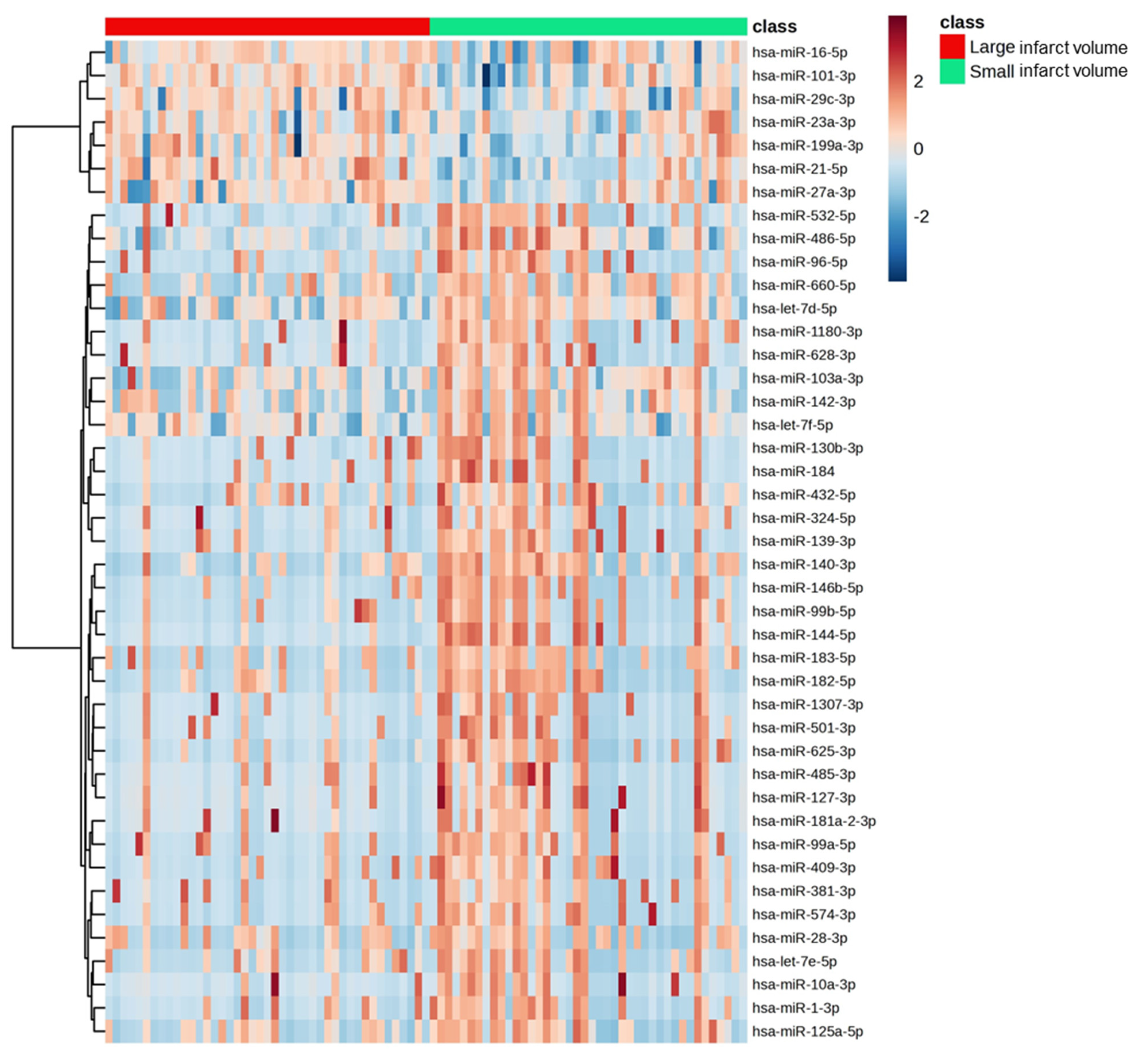 Jcm 13 05917 g004 Jcm 13 05917 g004