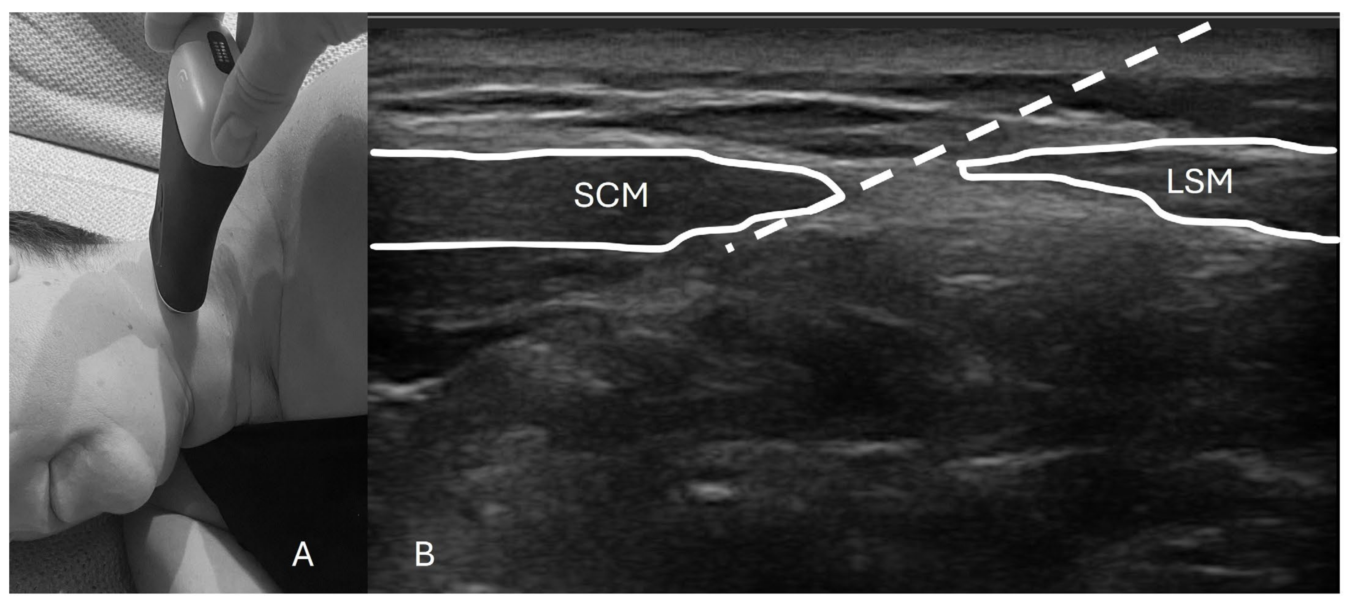 Jcm 13 06310 g001 Jcm 13 06310 g001