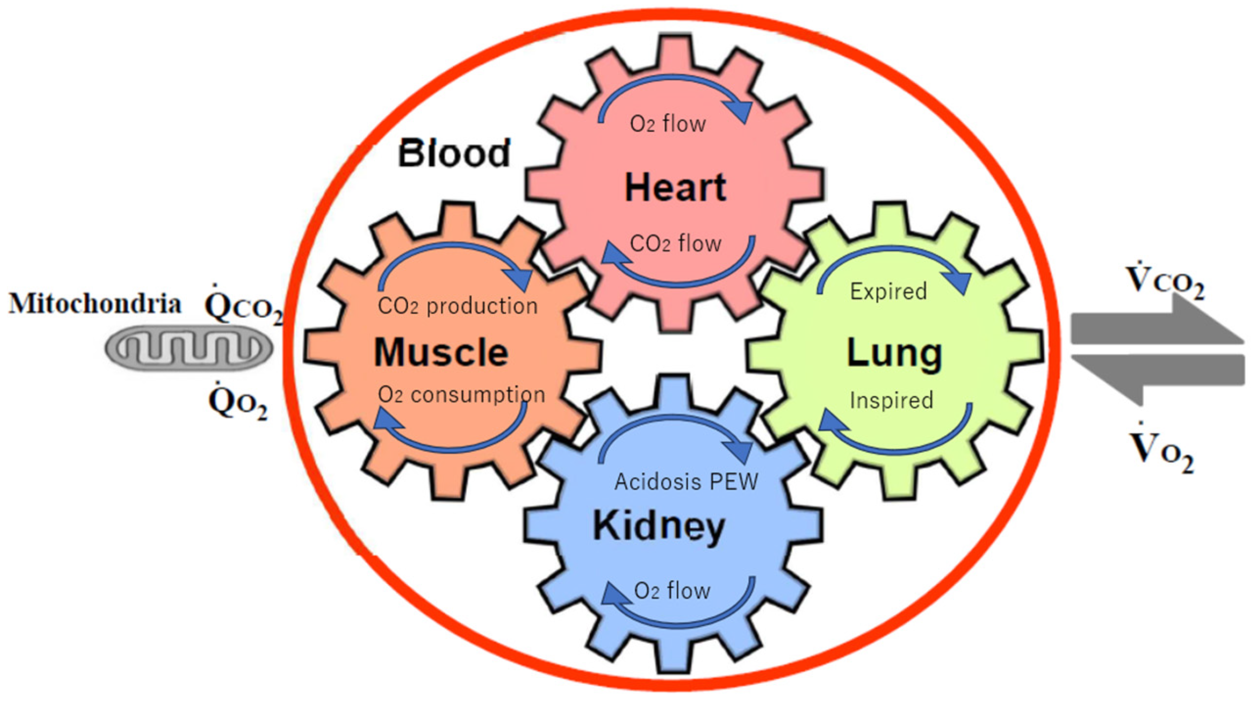 Jcm 13 06351 g001 Jcm 13 06351 g001