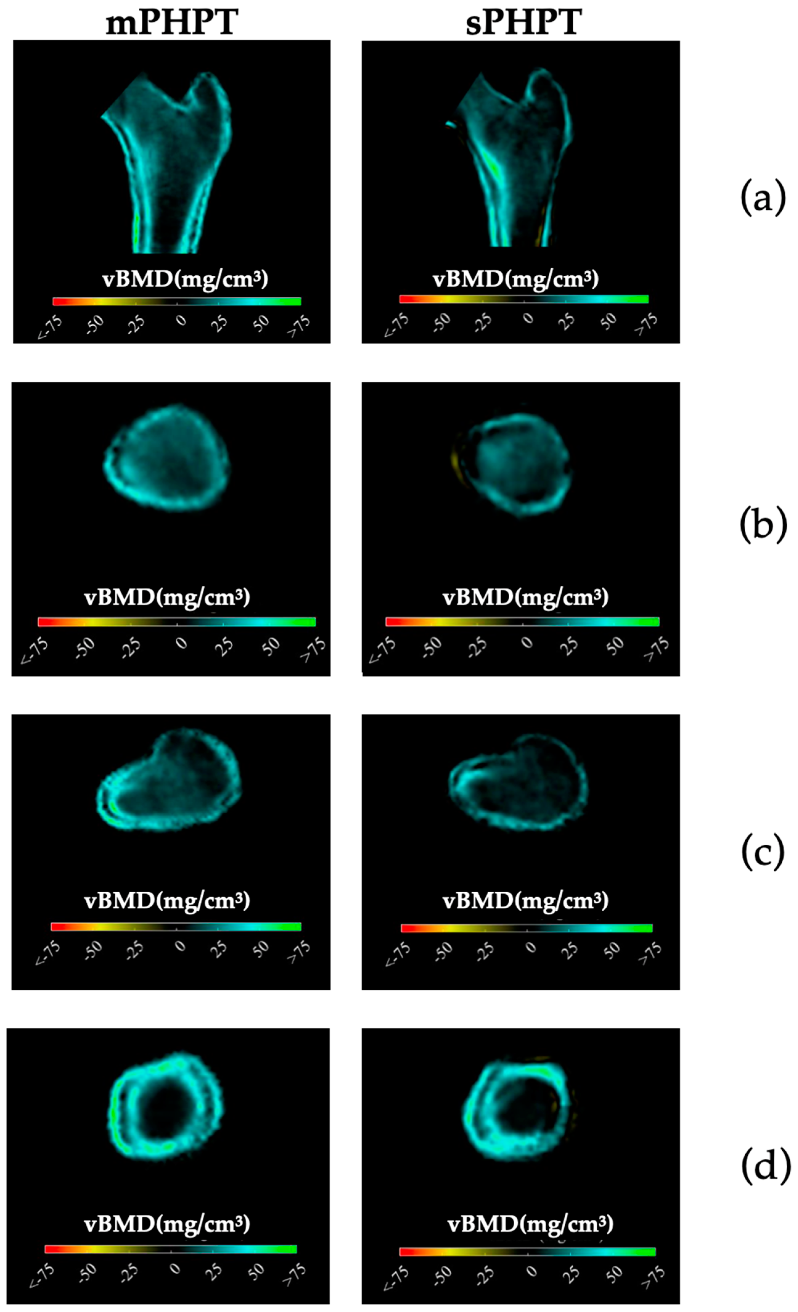 Jcm 13 06382 g005 Jcm 13 06382 g005