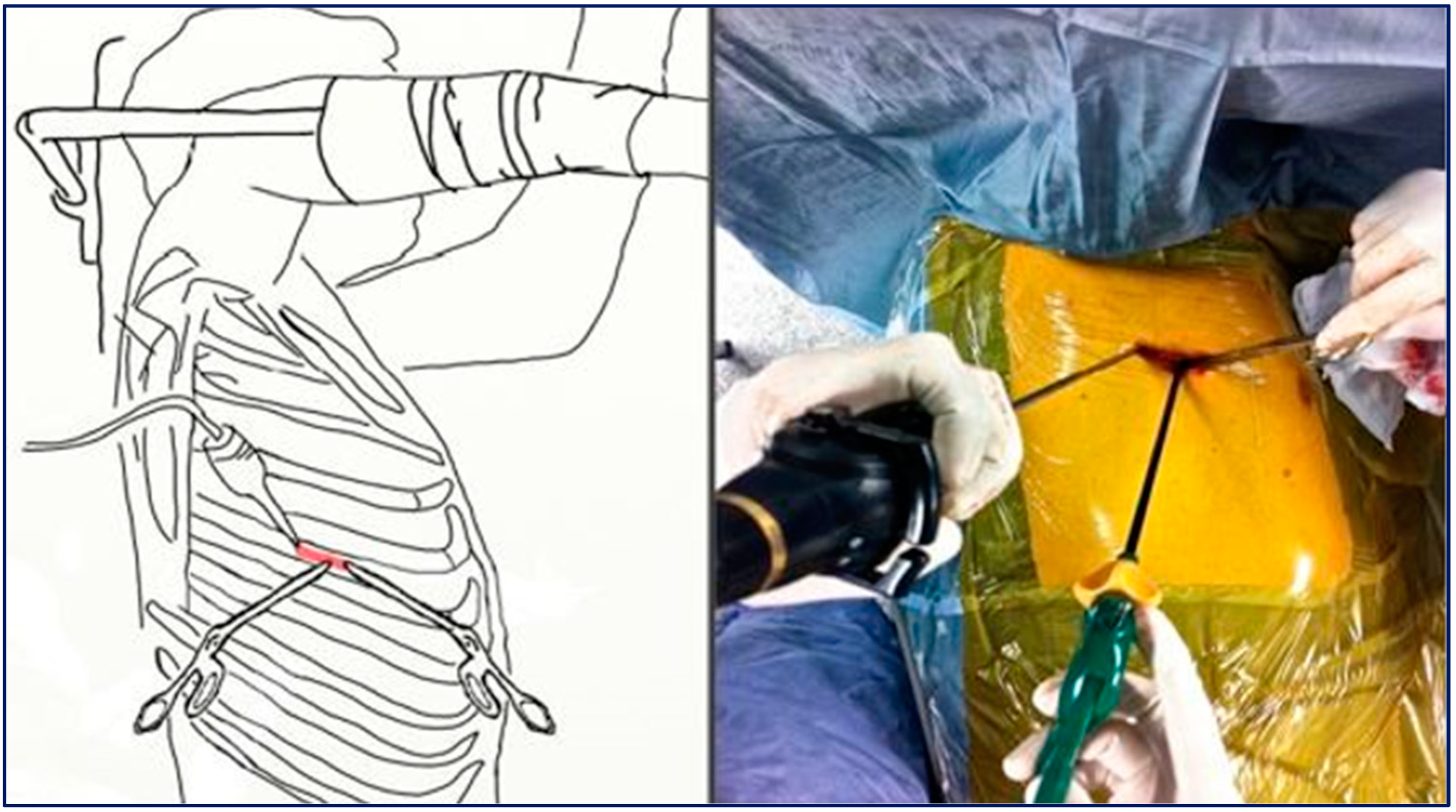 Jcm 13 06447 g001 Jcm 13 06447 g001