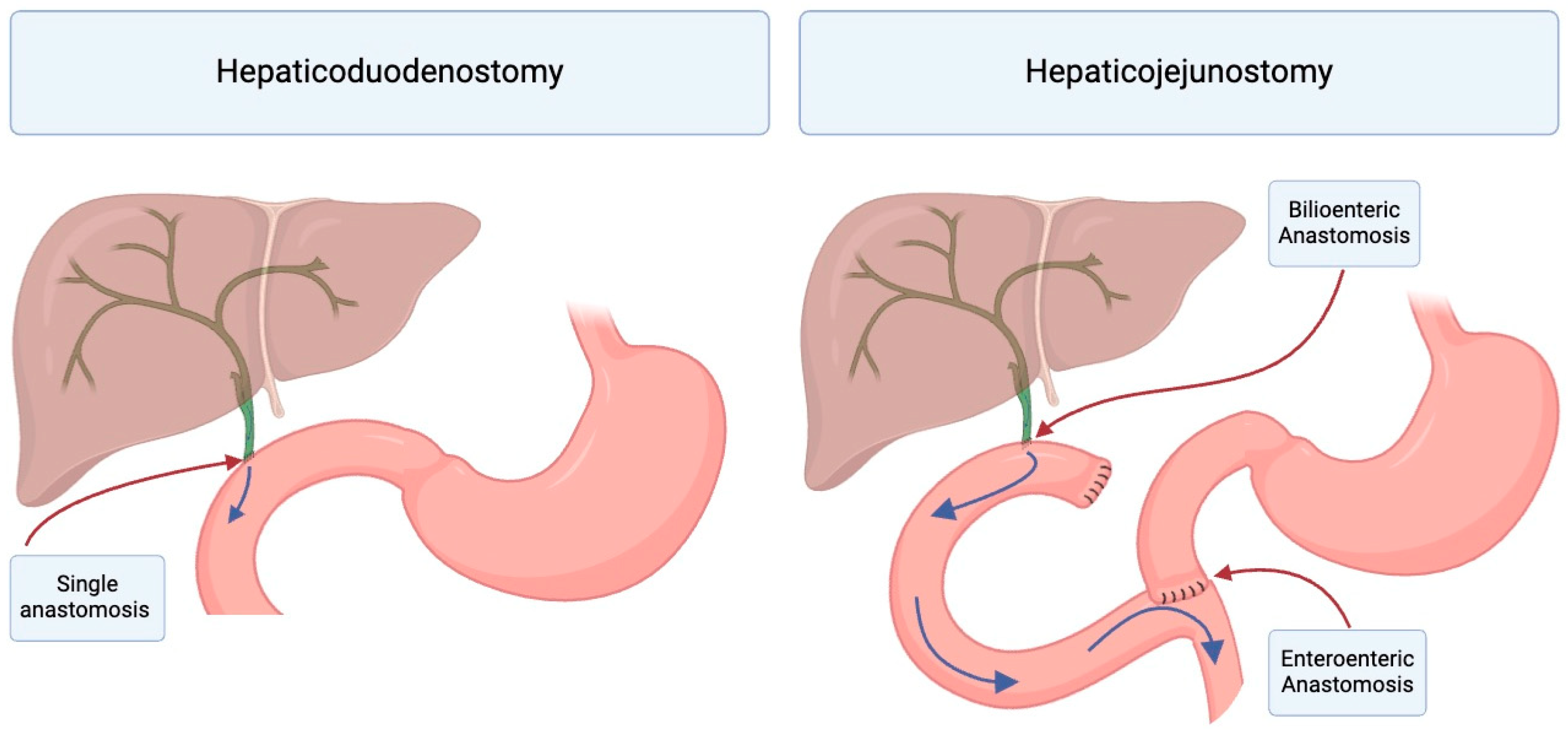 Jcm 13 06556 g001 Jcm 13 06556 g001