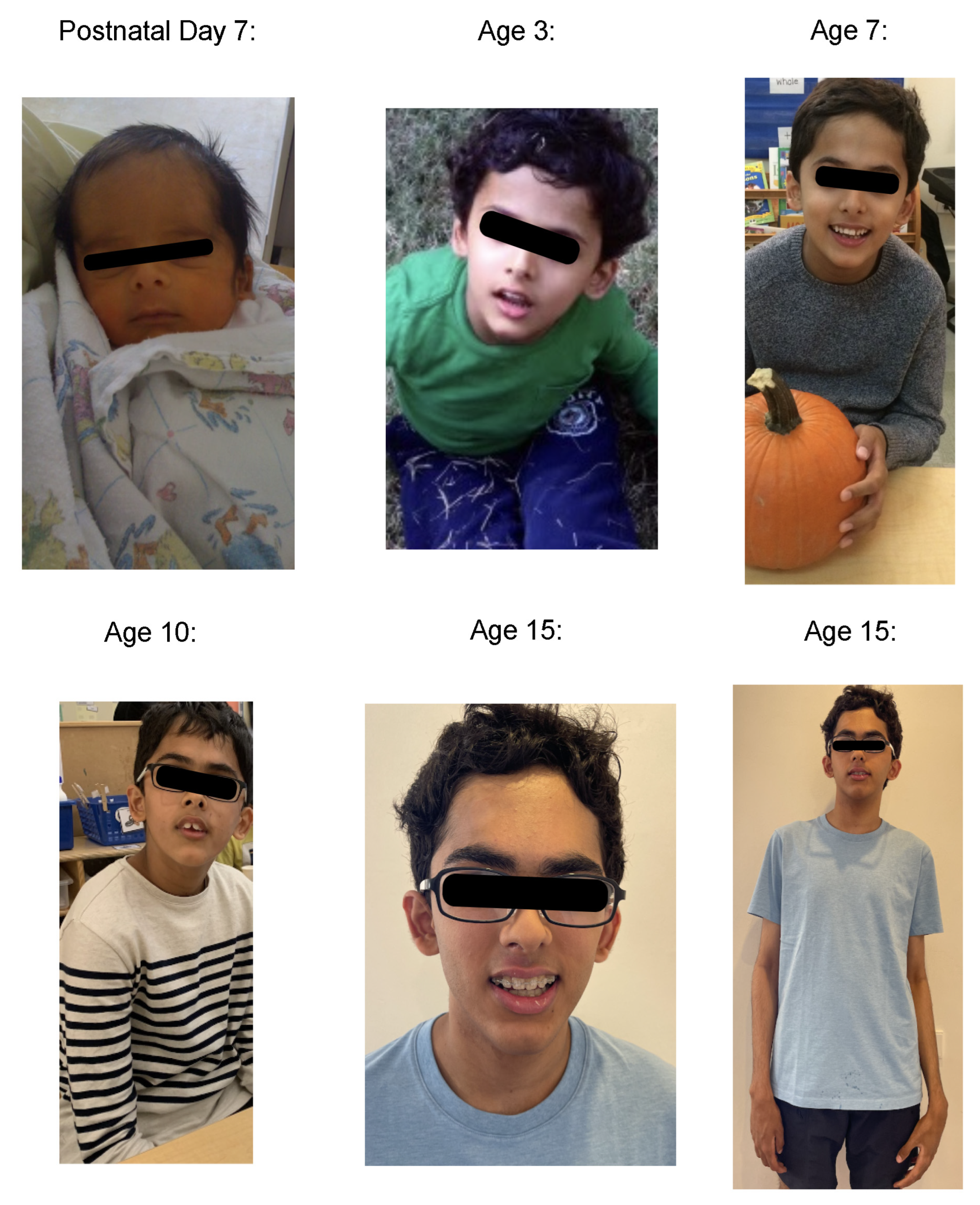 Jcm 13 06575 g001 Jcm 13 06575 g001