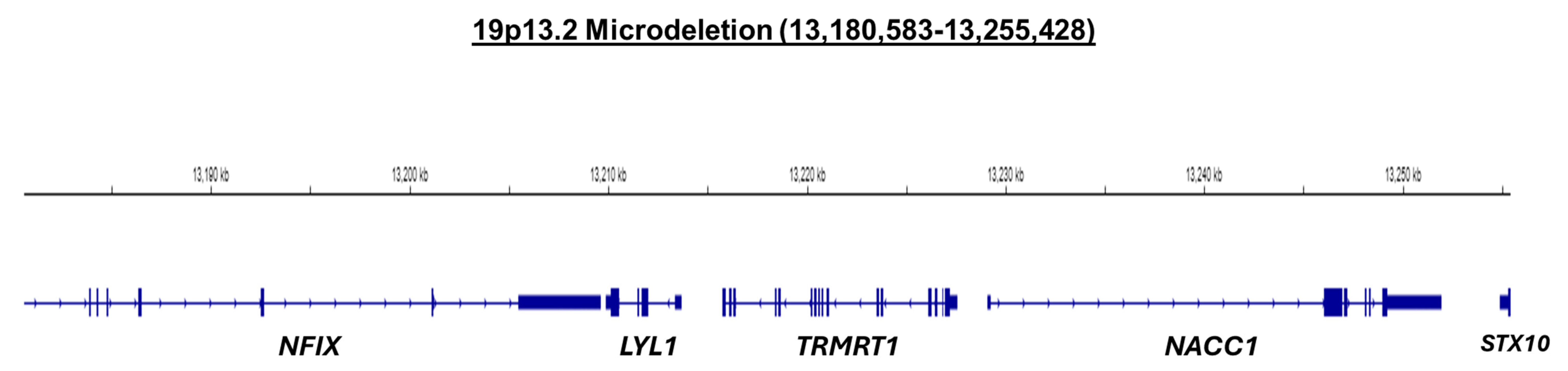 Jcm 13 06575 g007 Jcm 13 06575 g007