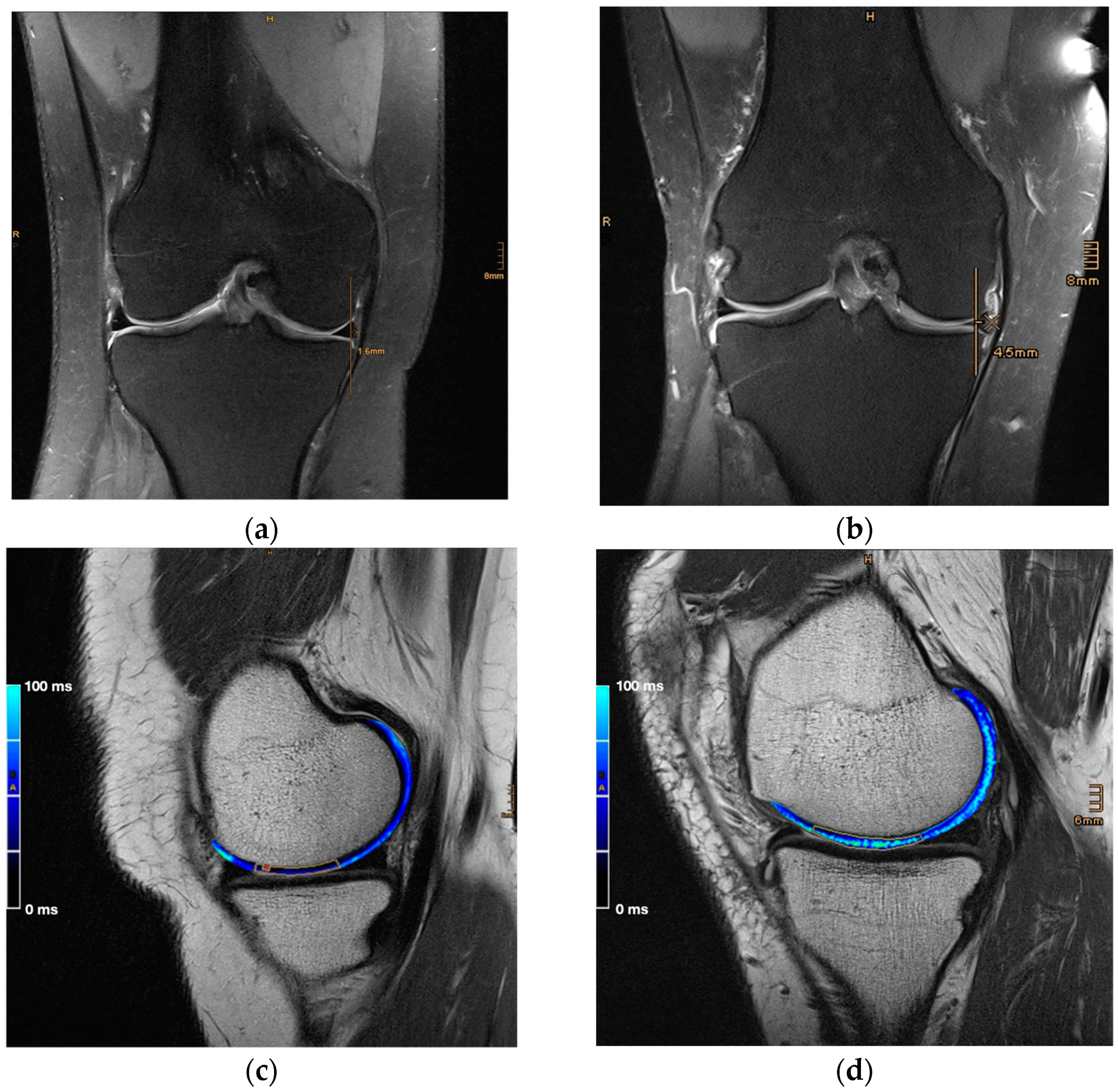 Jcm 13 06628 g002 Jcm 13 06628 g002