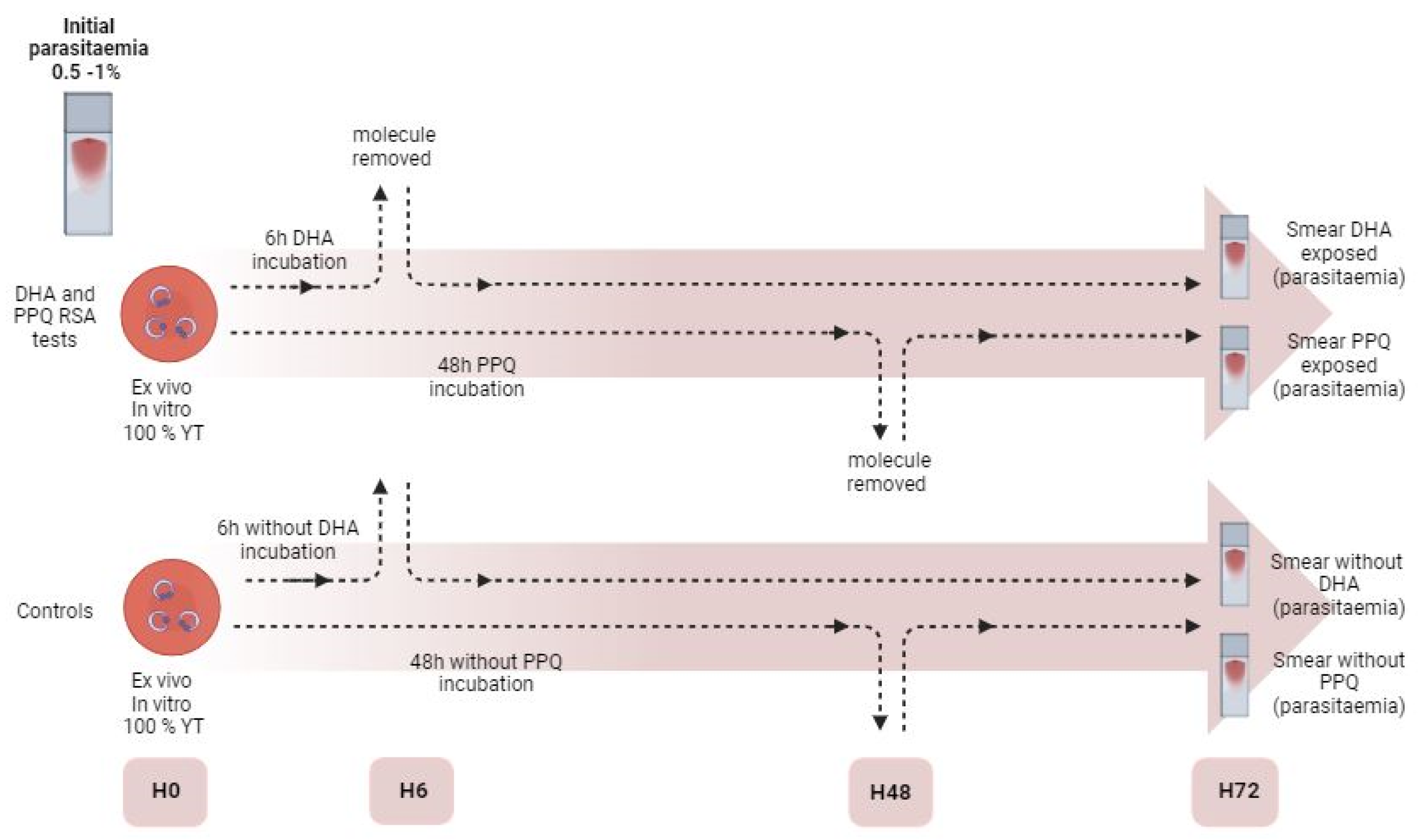 Jcm 13 06828 g003 Jcm 13 06828 g003