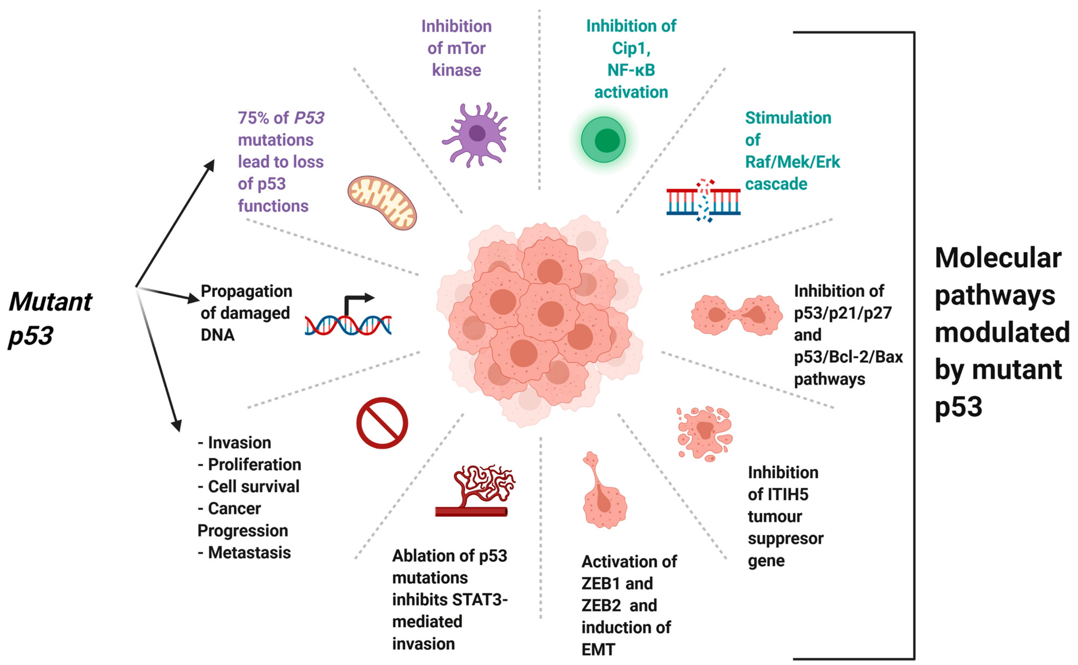 Jcm 13 07131 g003 Jcm 13 07131 g003
