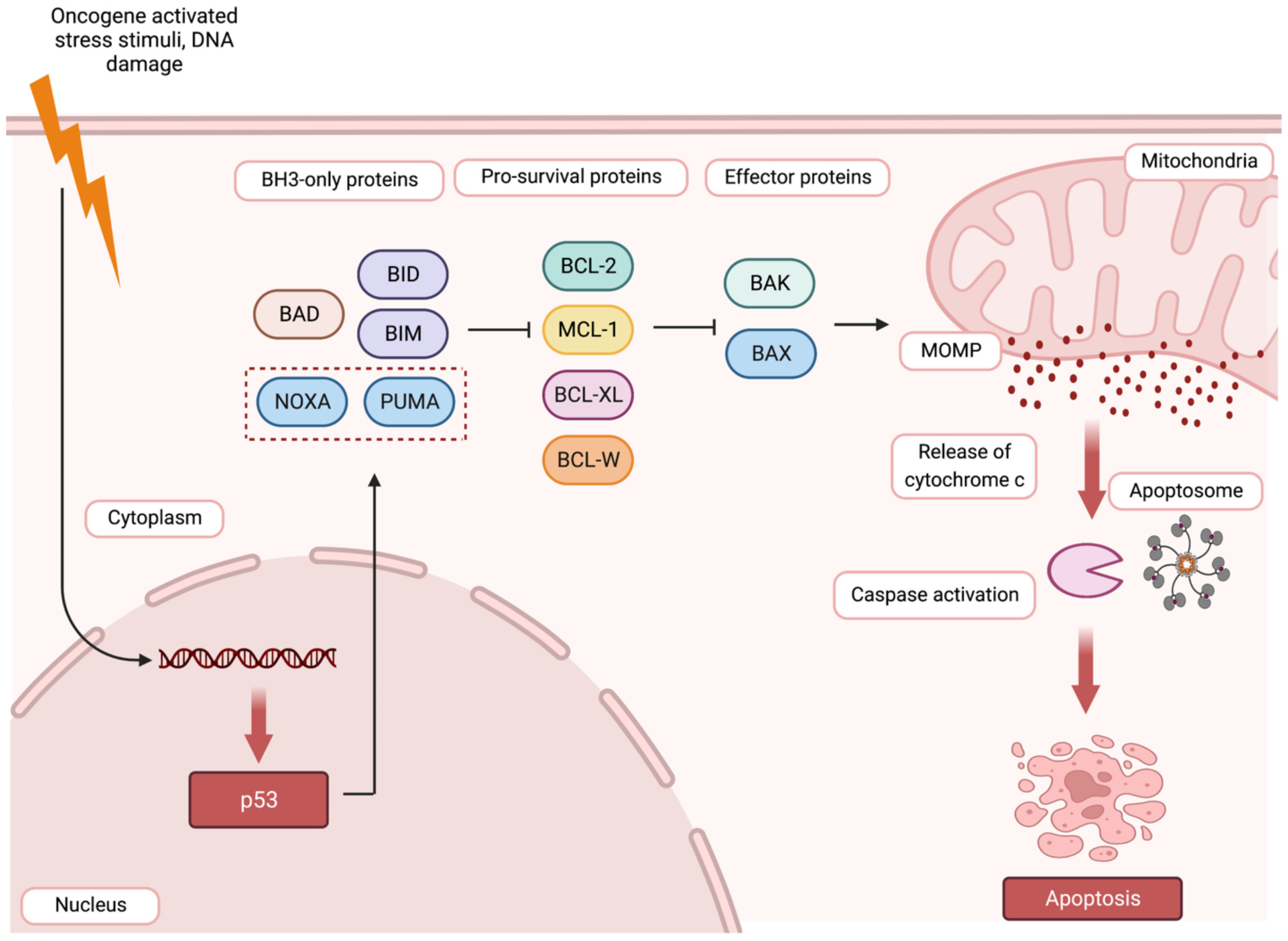 Jcm 13 07131 g005 Jcm 13 07131 g005