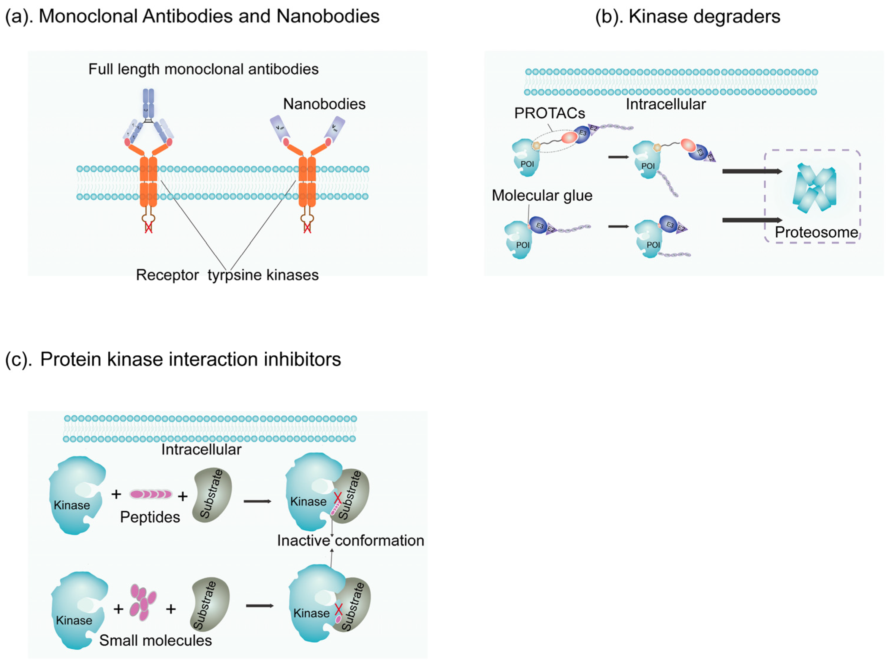 Jcm 13 07131 g006 Jcm 13 07131 g006