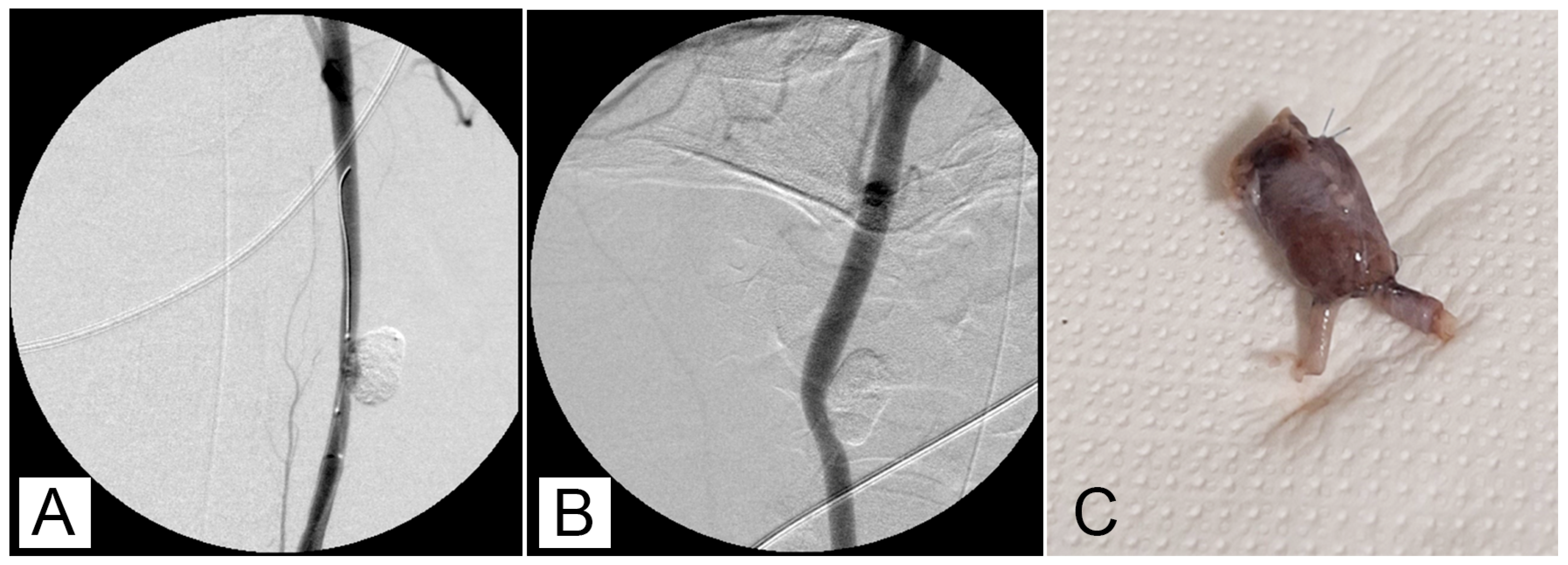 Jcm 13 07222 g002 Jcm 13 07222 g002