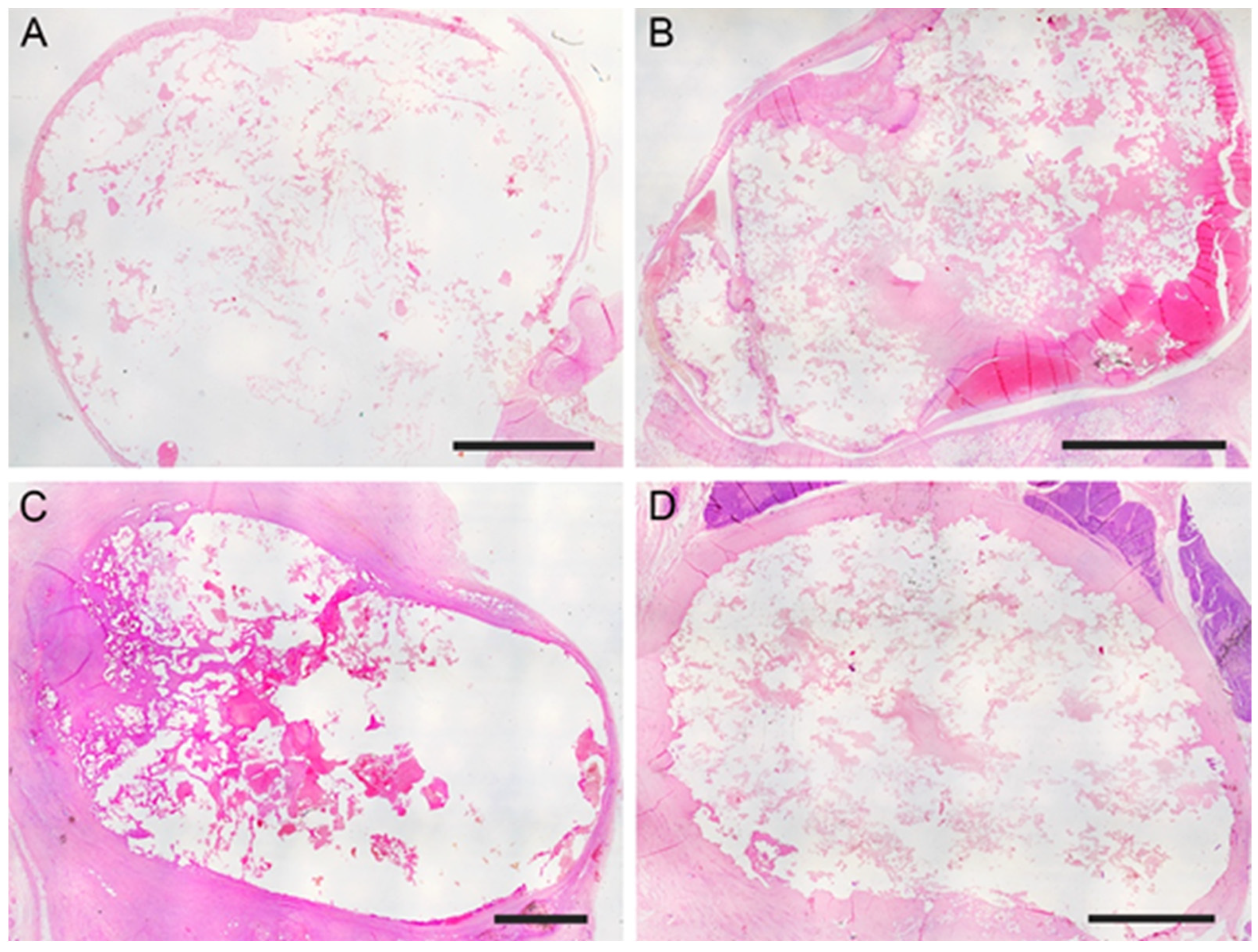 Jcm 13 07222 g003 Jcm 13 07222 g003