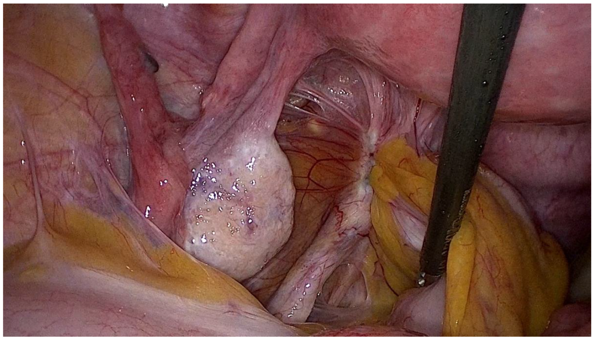 Jcm 13 07349 g003 Jcm 13 07349 g003