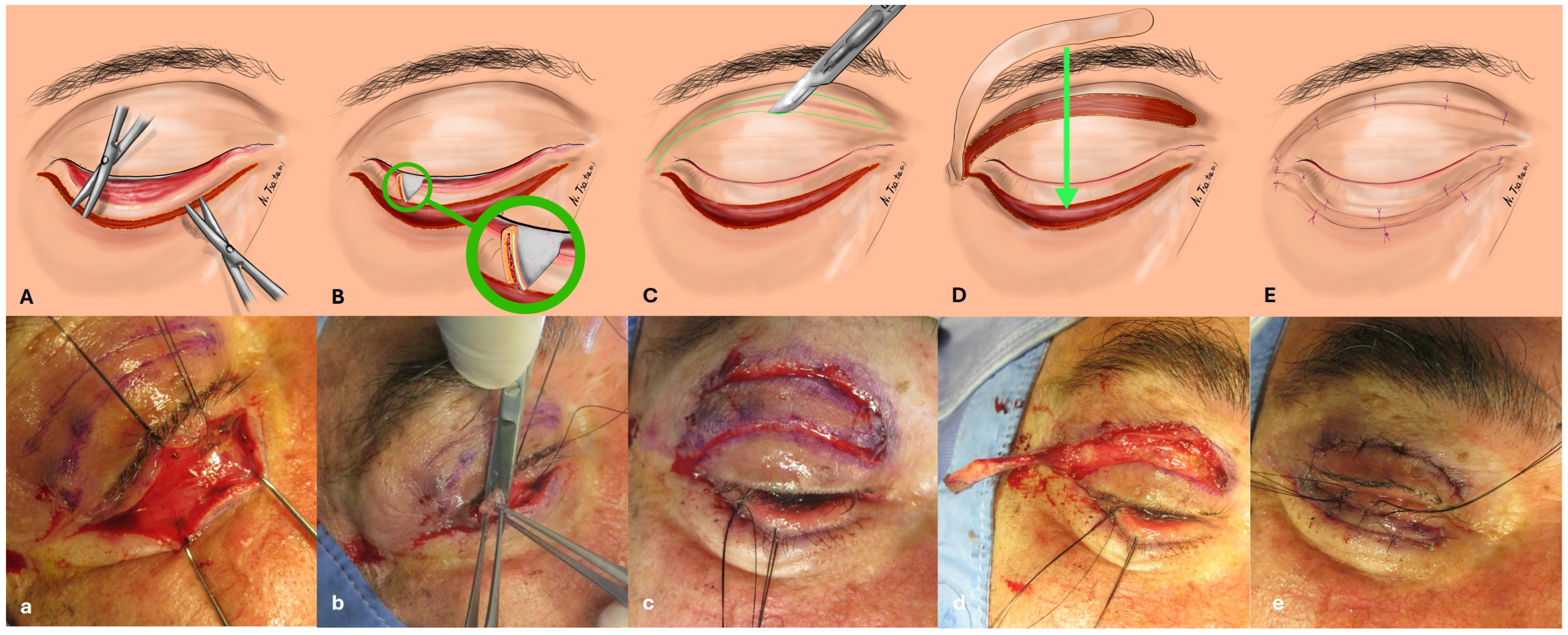 Jcm 14 00128 g001 Jcm 14 00128 g001
