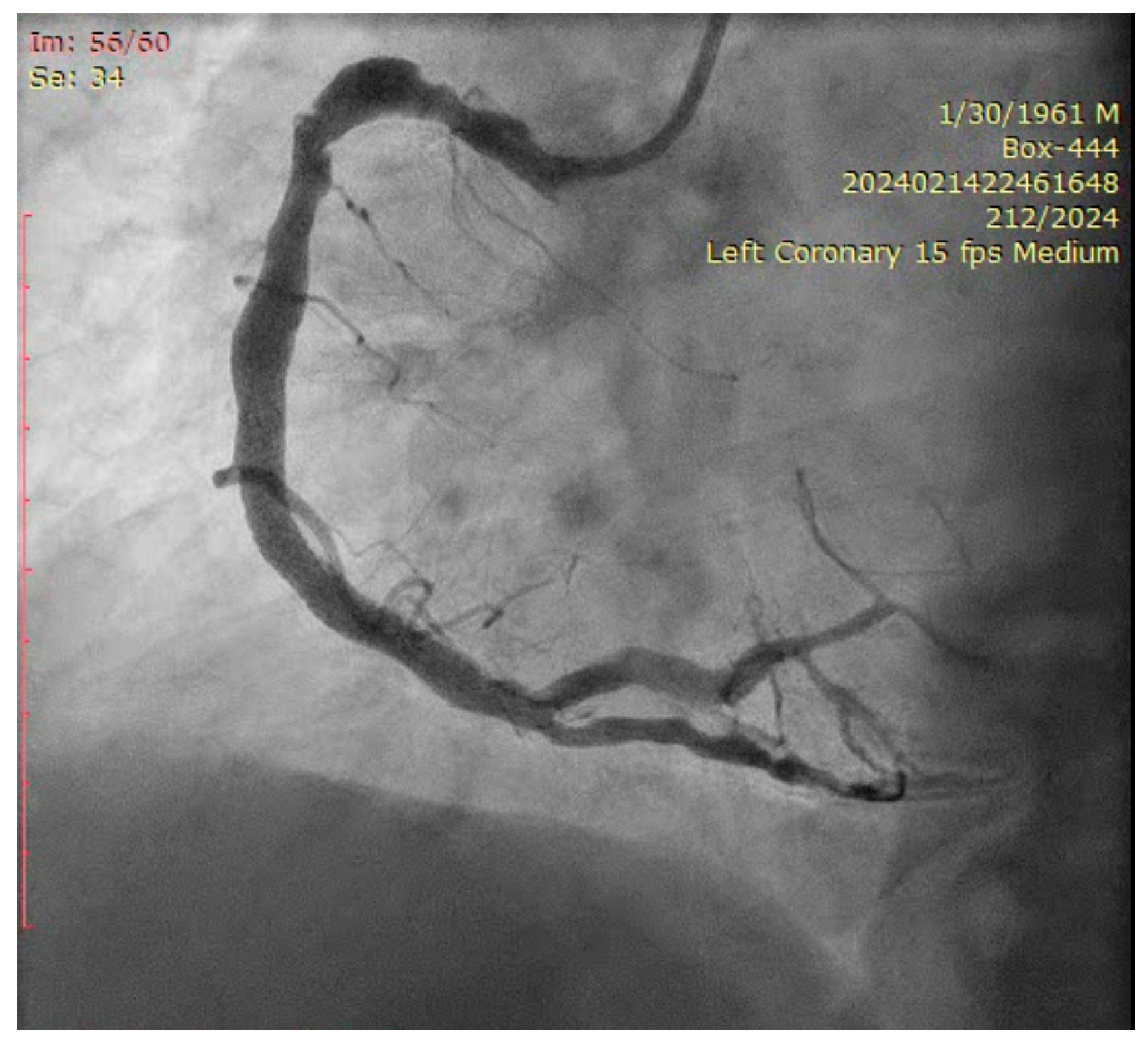 Jcm 14 00328 g002 Jcm 14 00328 g002