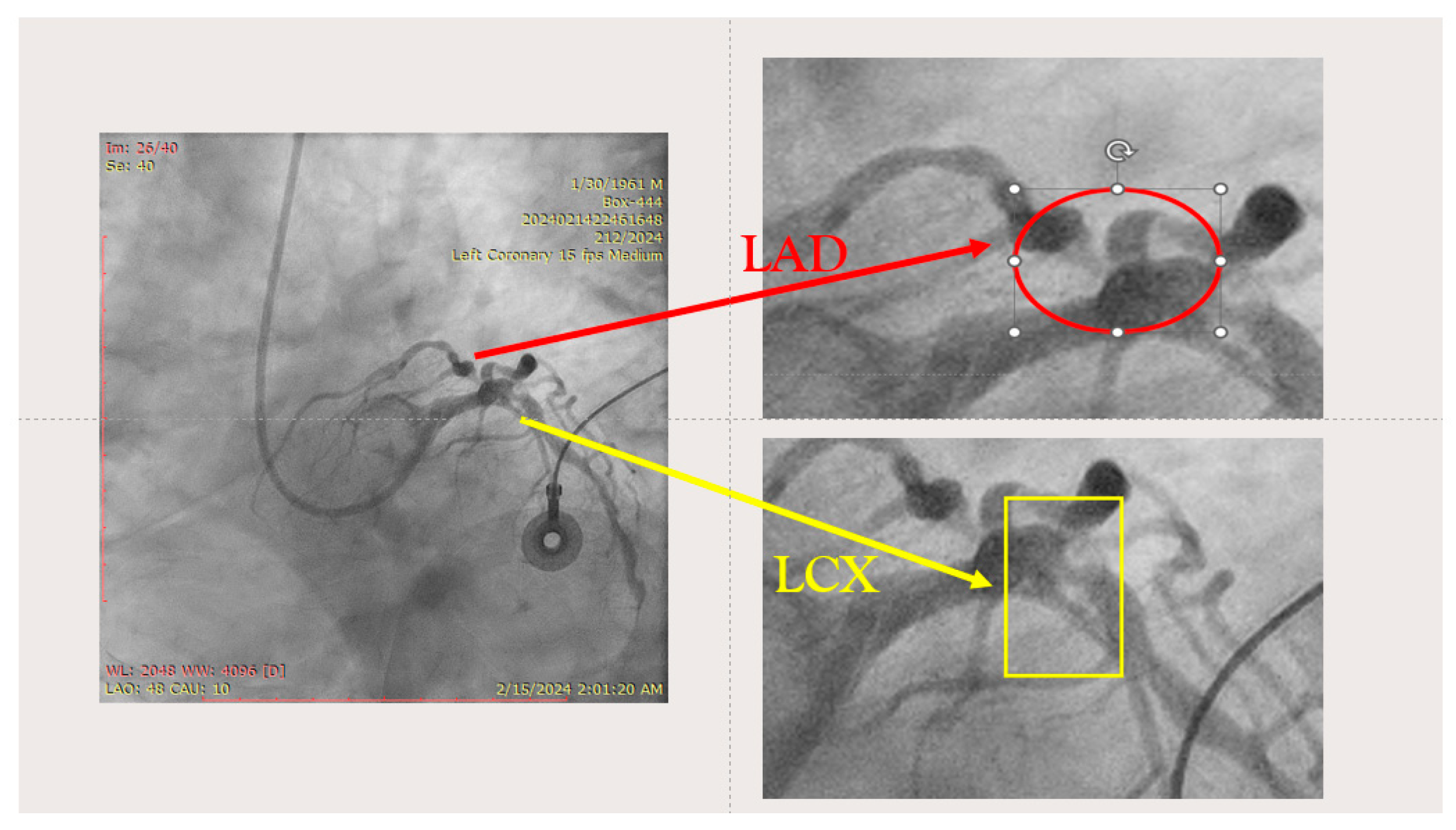 Jcm 14 00328 g004 Jcm 14 00328 g004