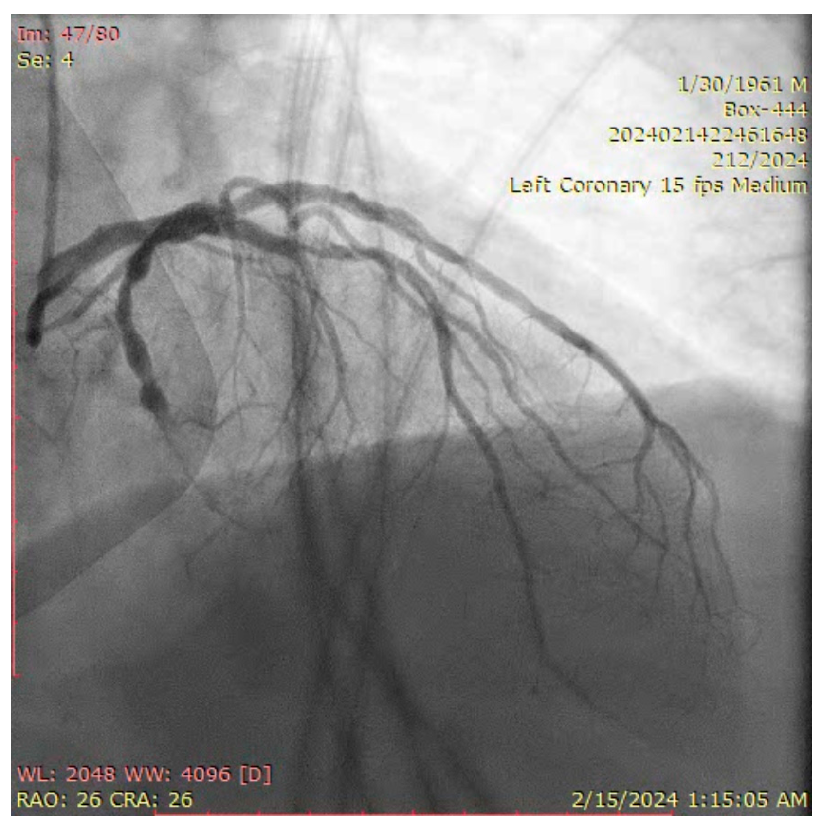 Jcm 14 00328 g006 Jcm 14 00328 g006