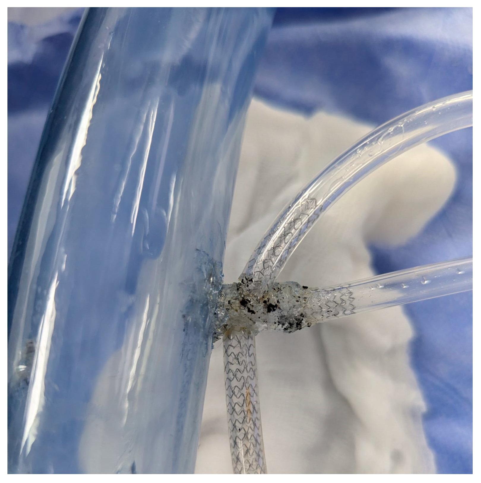 Jcm 14 00328 g012 Jcm 14 00328 g012