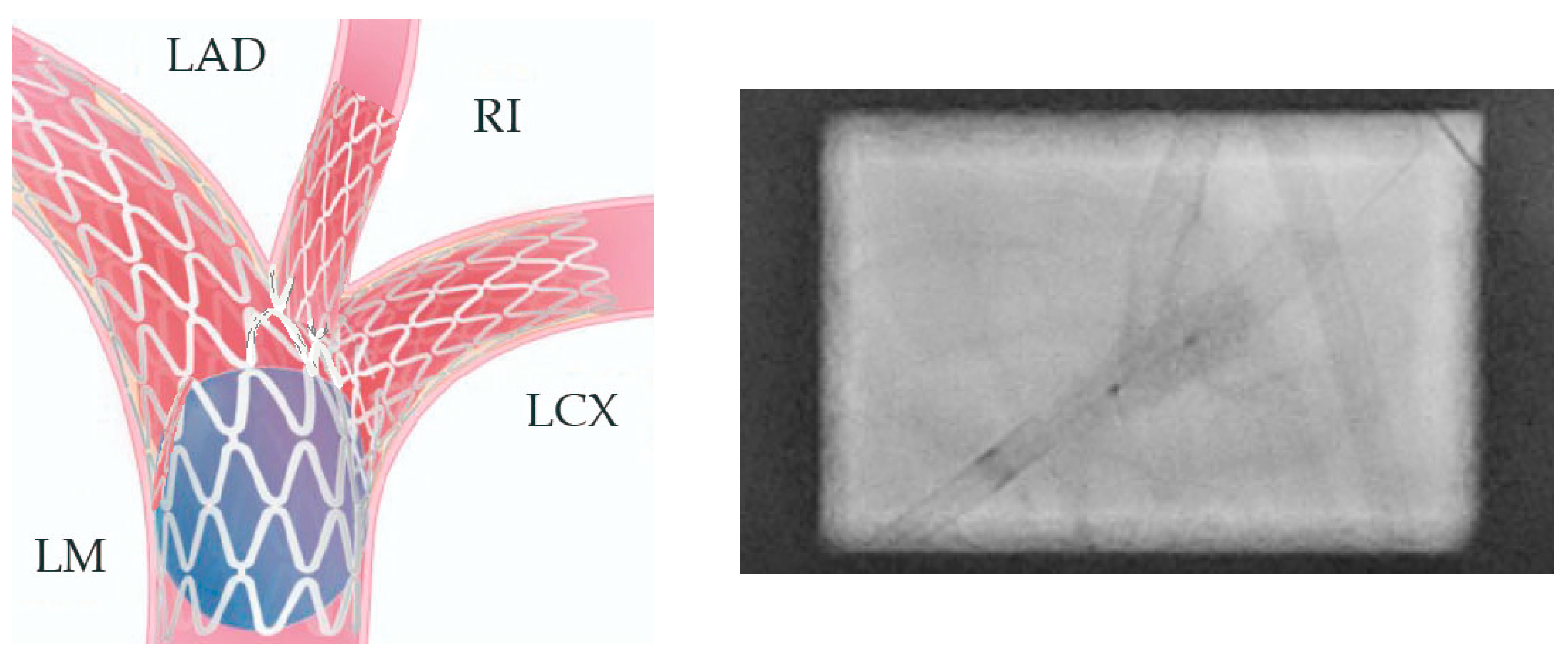 Jcm 14 00328 g021 Jcm 14 00328 g021