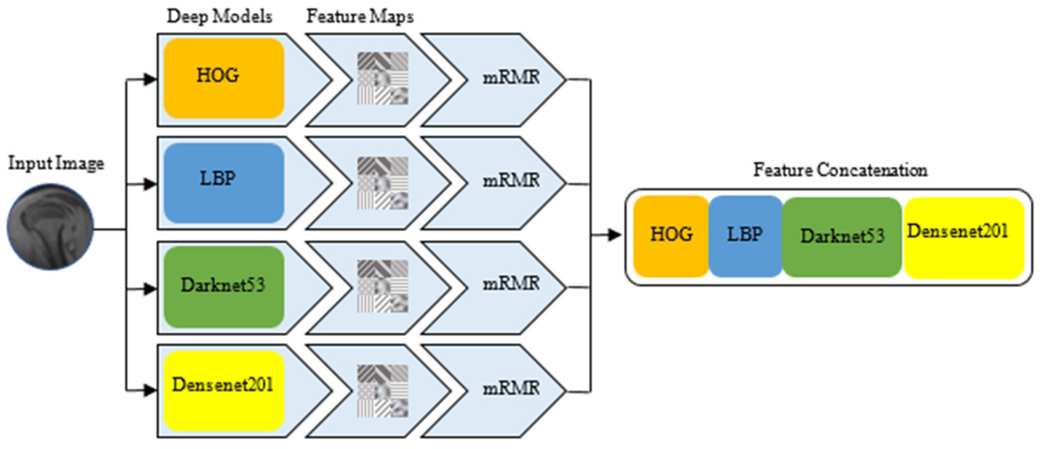 Jcm 14 00505 g002 Jcm 14 00505 g002