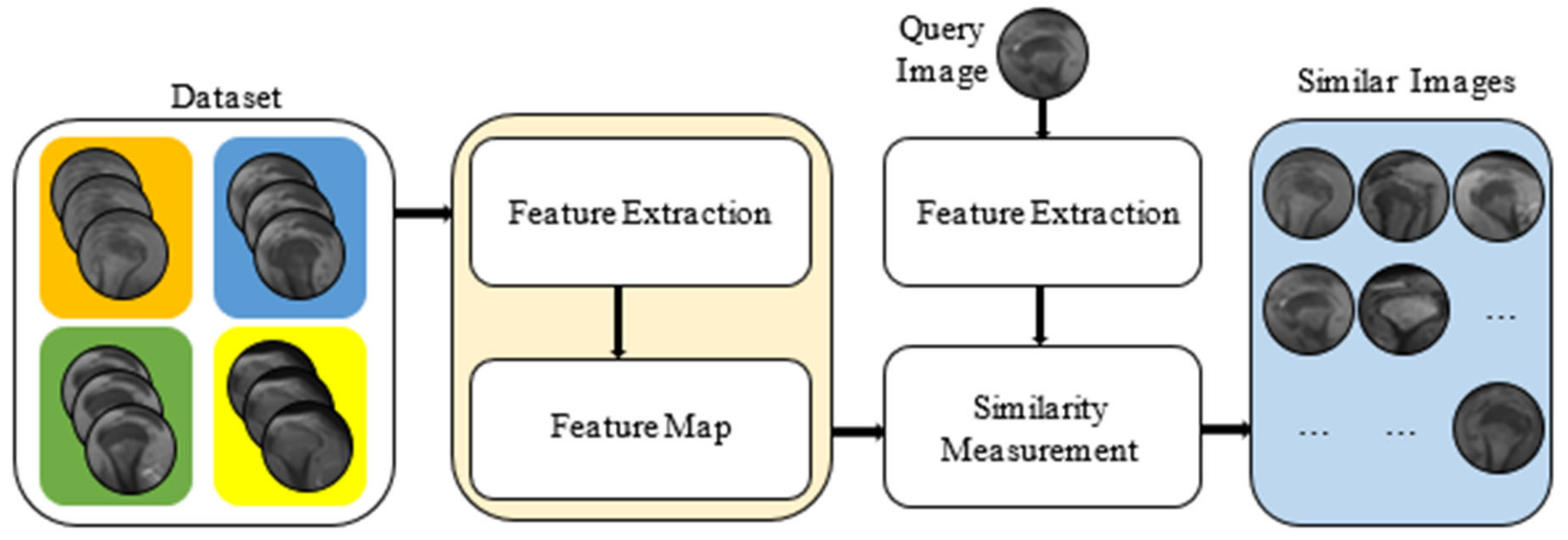 Jcm 14 00505 g003 Jcm 14 00505 g003