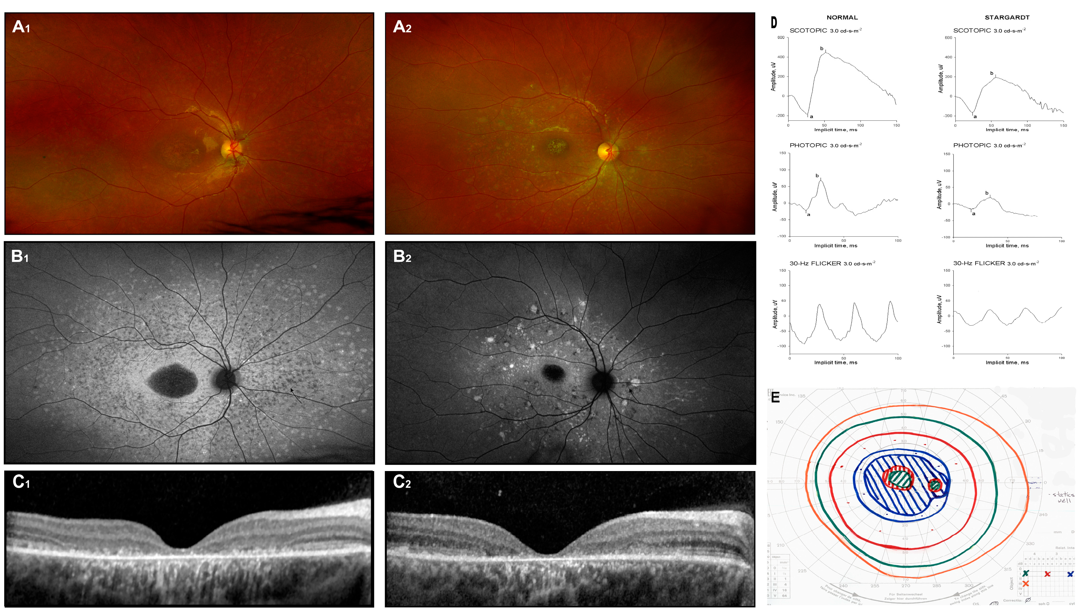Jcm 14 00614 g001 Jcm 14 00614 g001