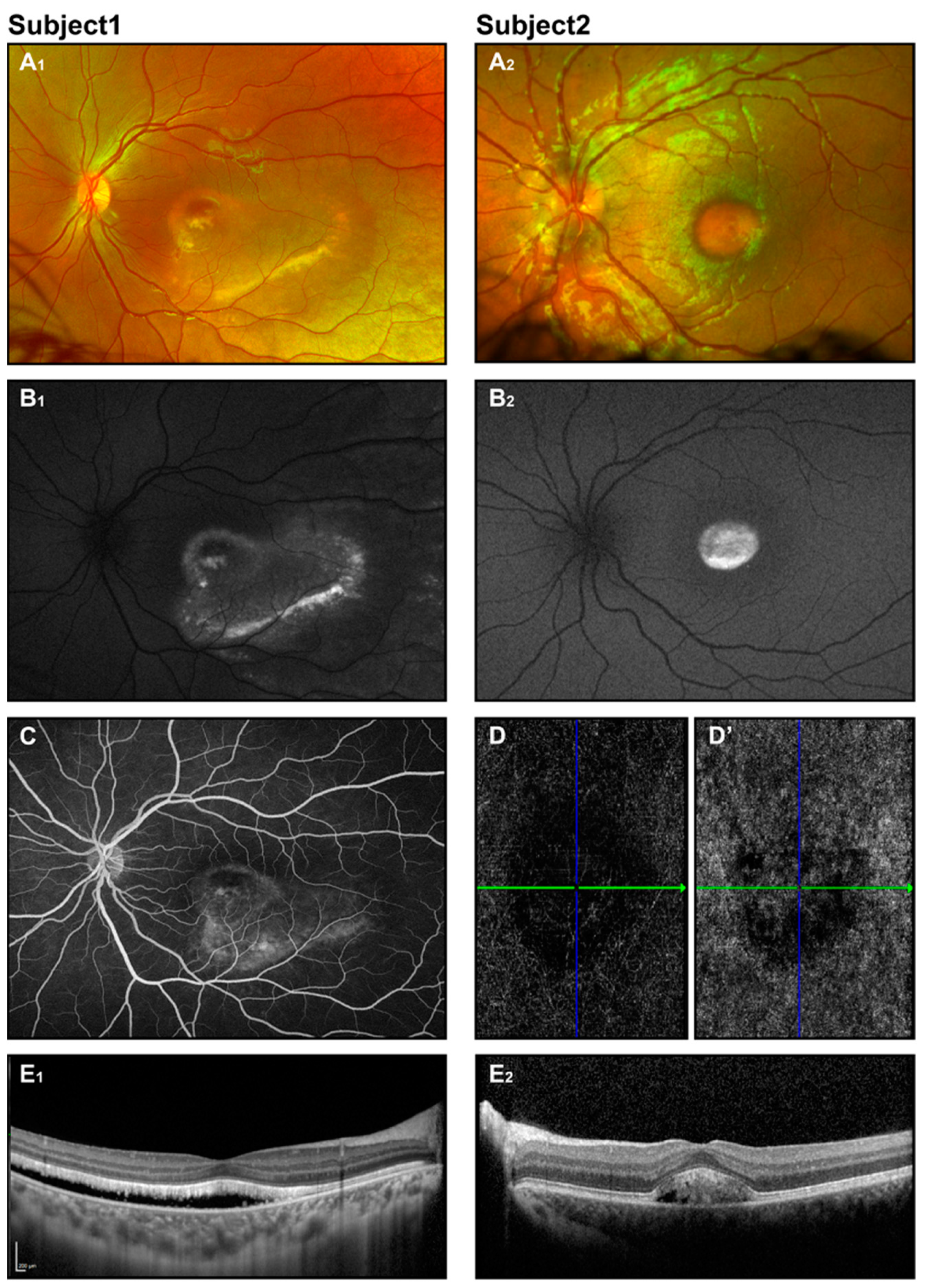 Jcm 14 00614 g002 Jcm 14 00614 g002