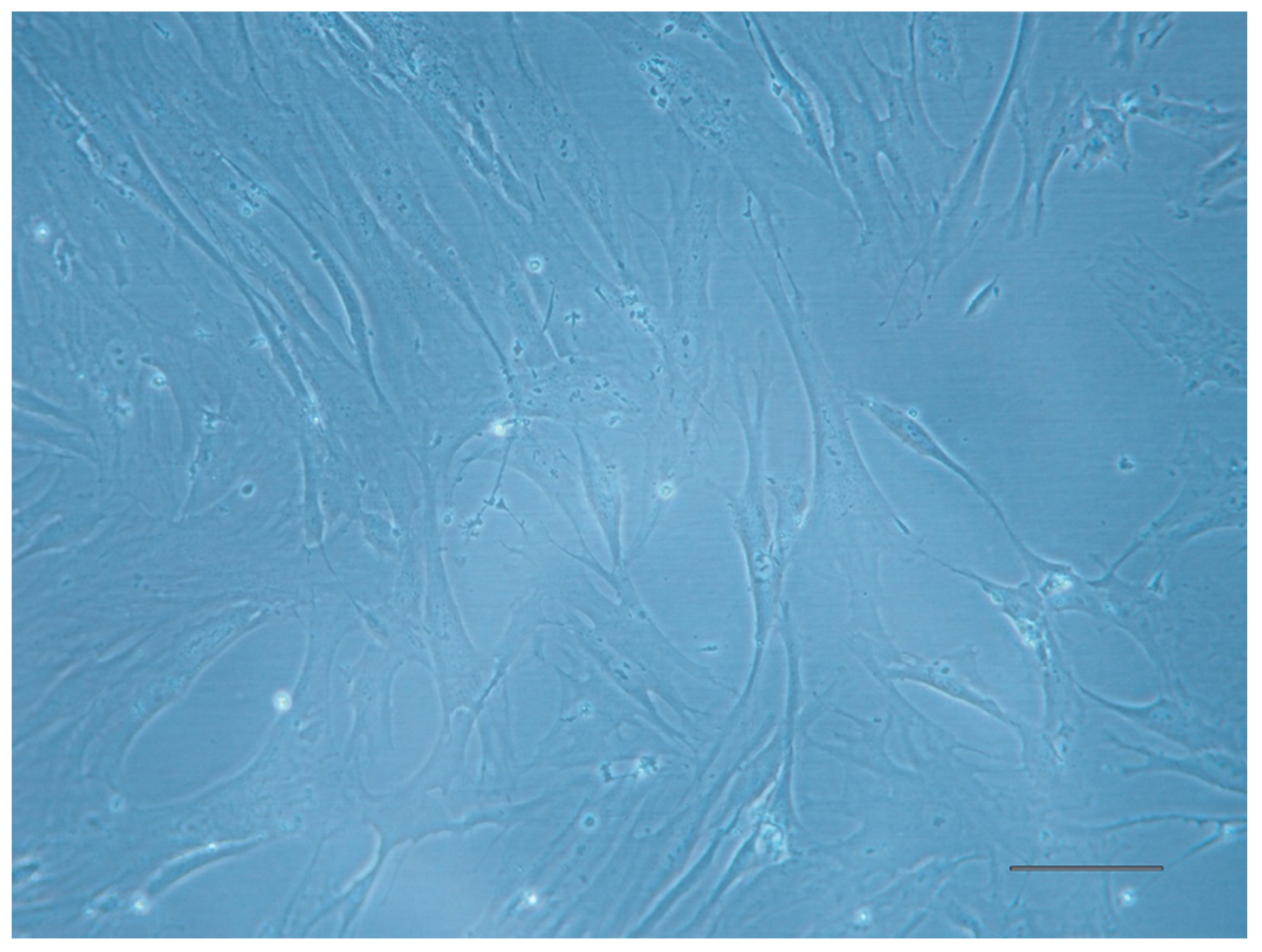 Jcm 14 00660 g001 Jcm 14 00660 g001