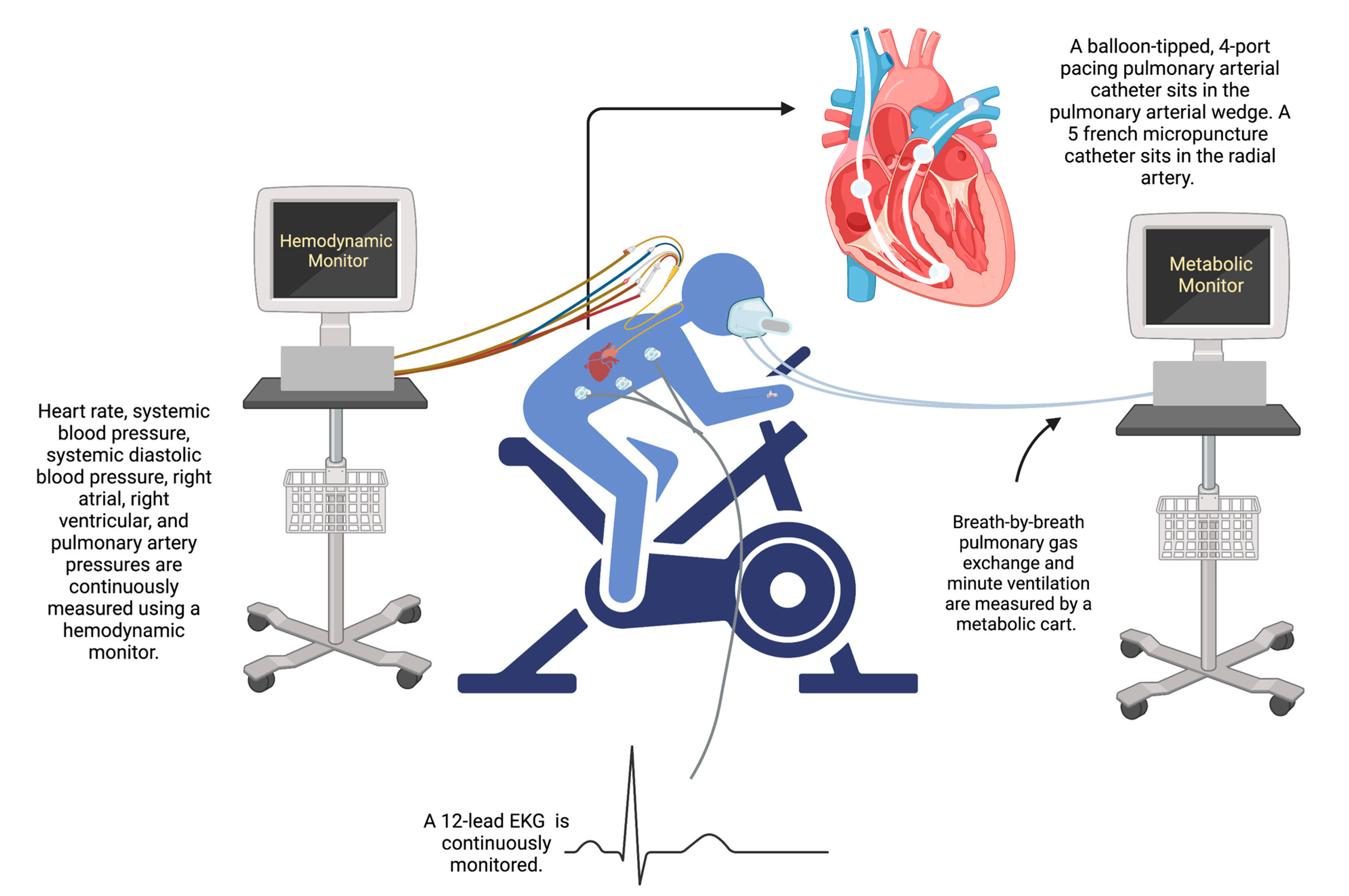 Jcm 14 00804 g001 Jcm 14 00804 g001