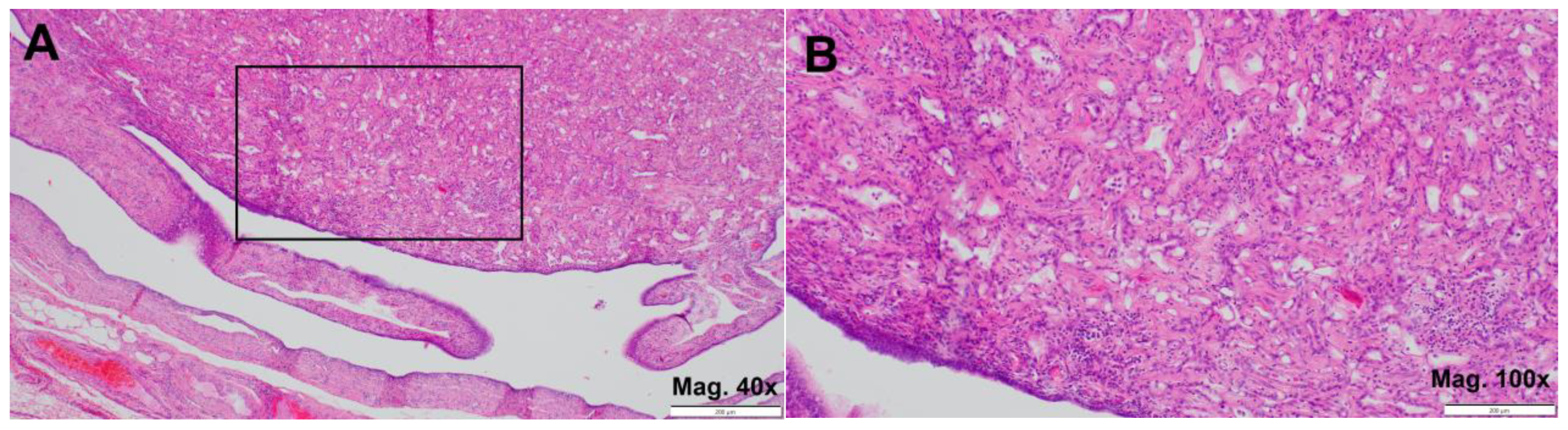Jcm 14 00813 g001 Jcm 14 00813 g001