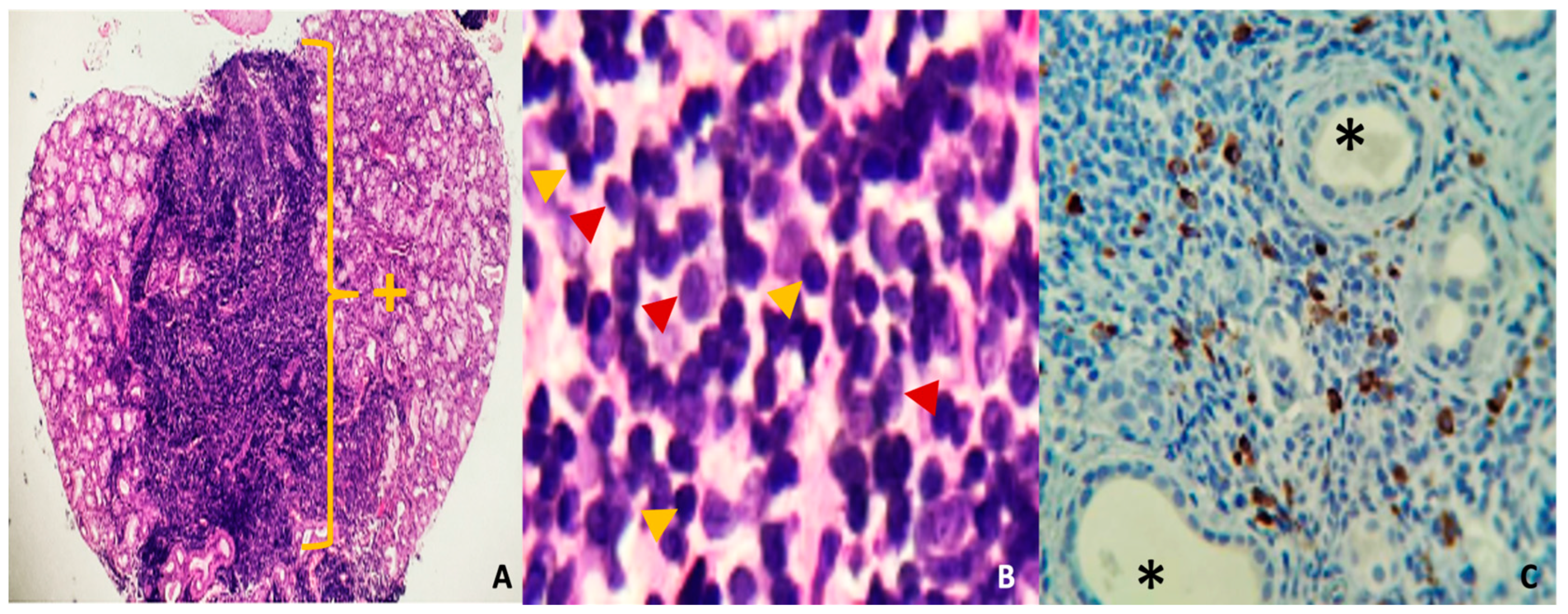 Jcm 14 00958 g004 Jcm 14 00958 g004