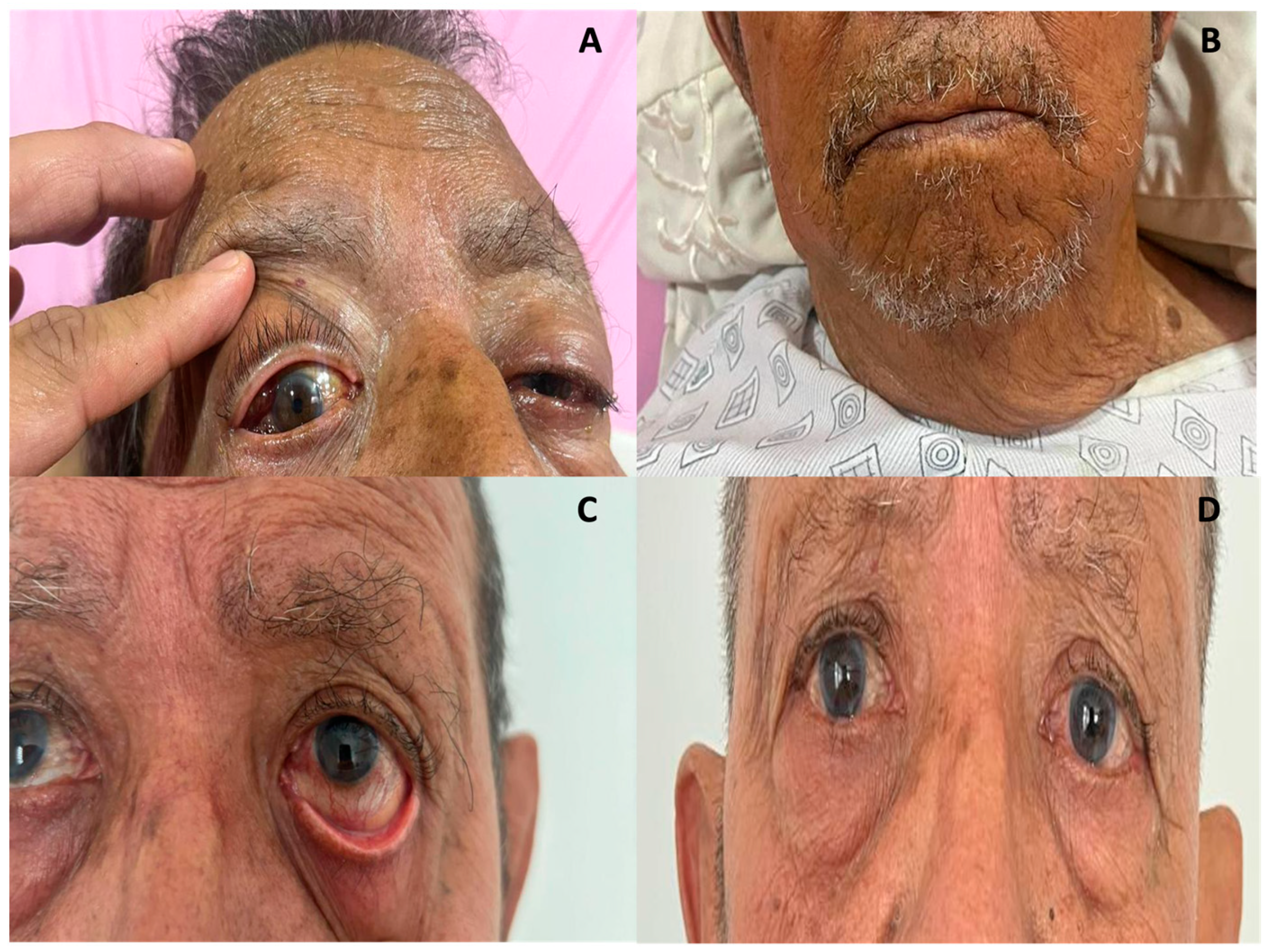 Jcm 14 00958 g005 Jcm 14 00958 g005