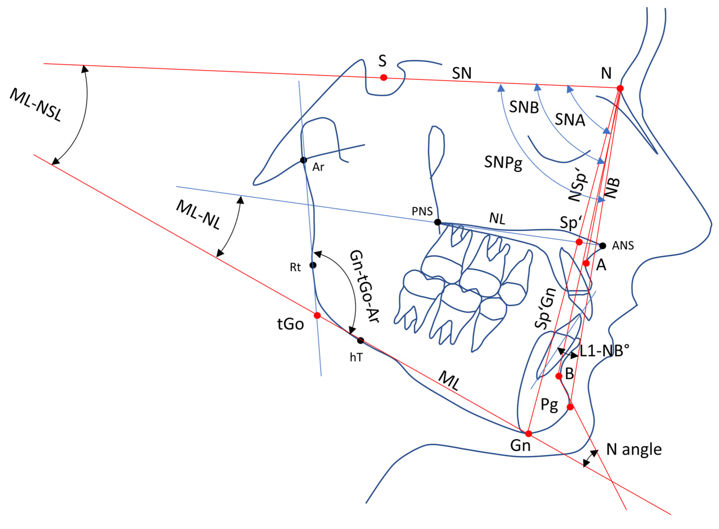 Jcm 14 02884 g002 Jcm 14 02884 g002