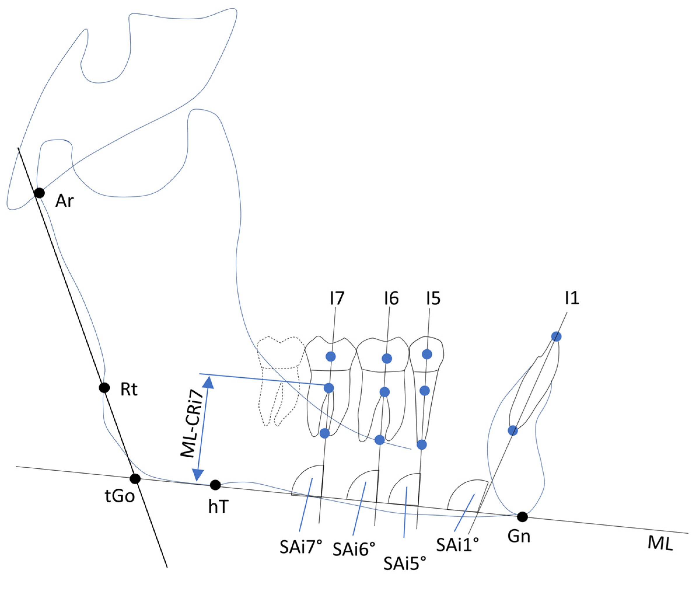 Jcm 14 02884 g003 Jcm 14 02884 g003