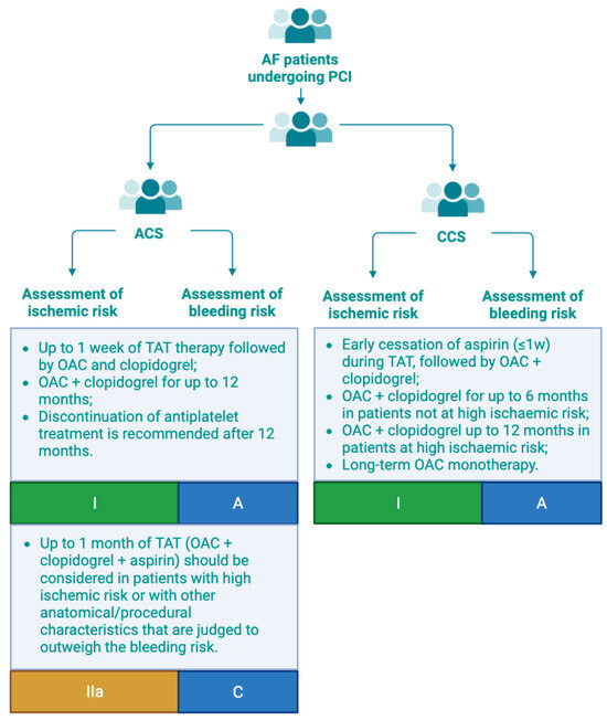 Long-Term Antithrombotic Therapy in Patients with Atrial Fibrillation ...