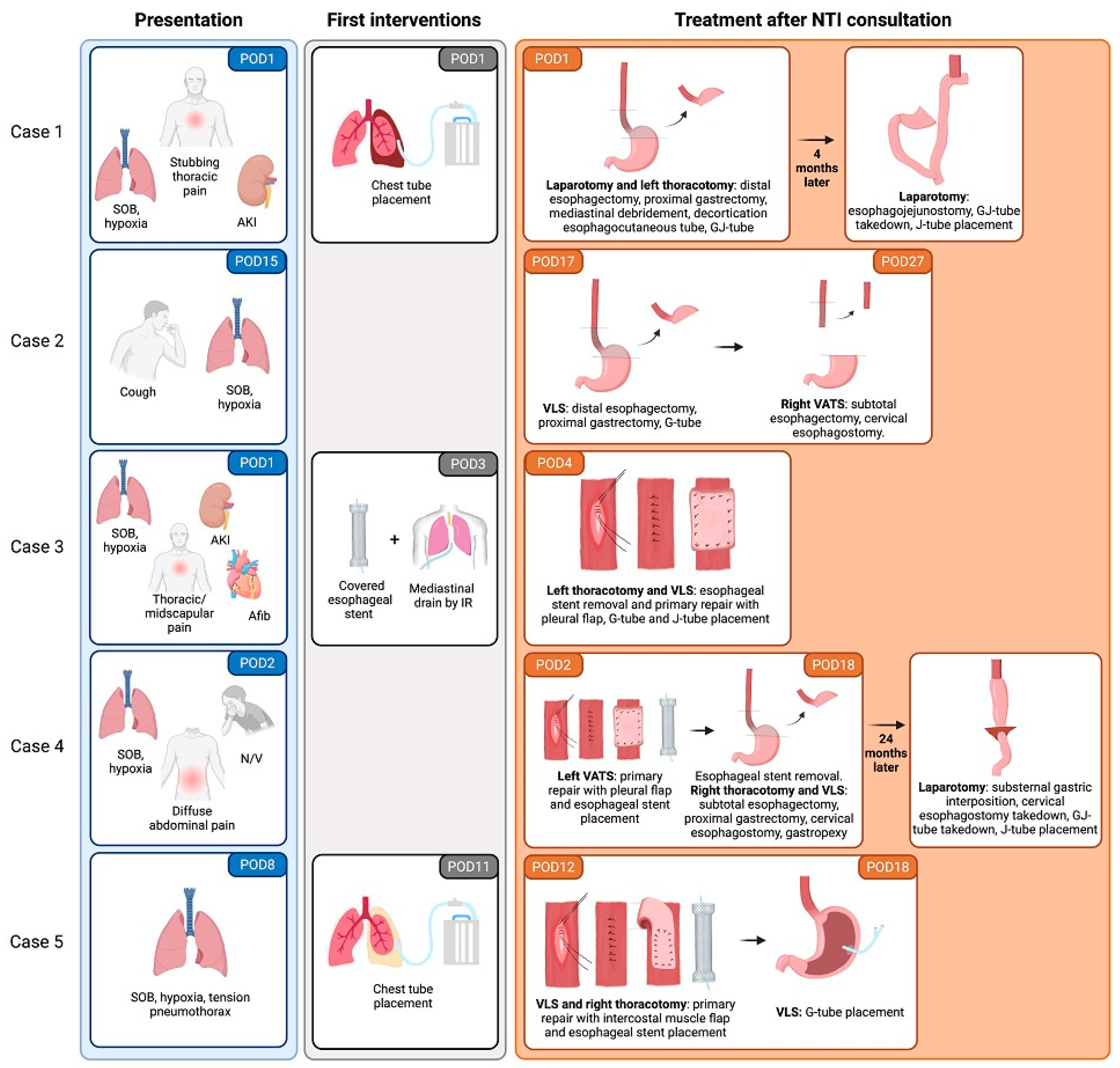 Jcm 14 04577 g002 Jcm 14 04577 g002