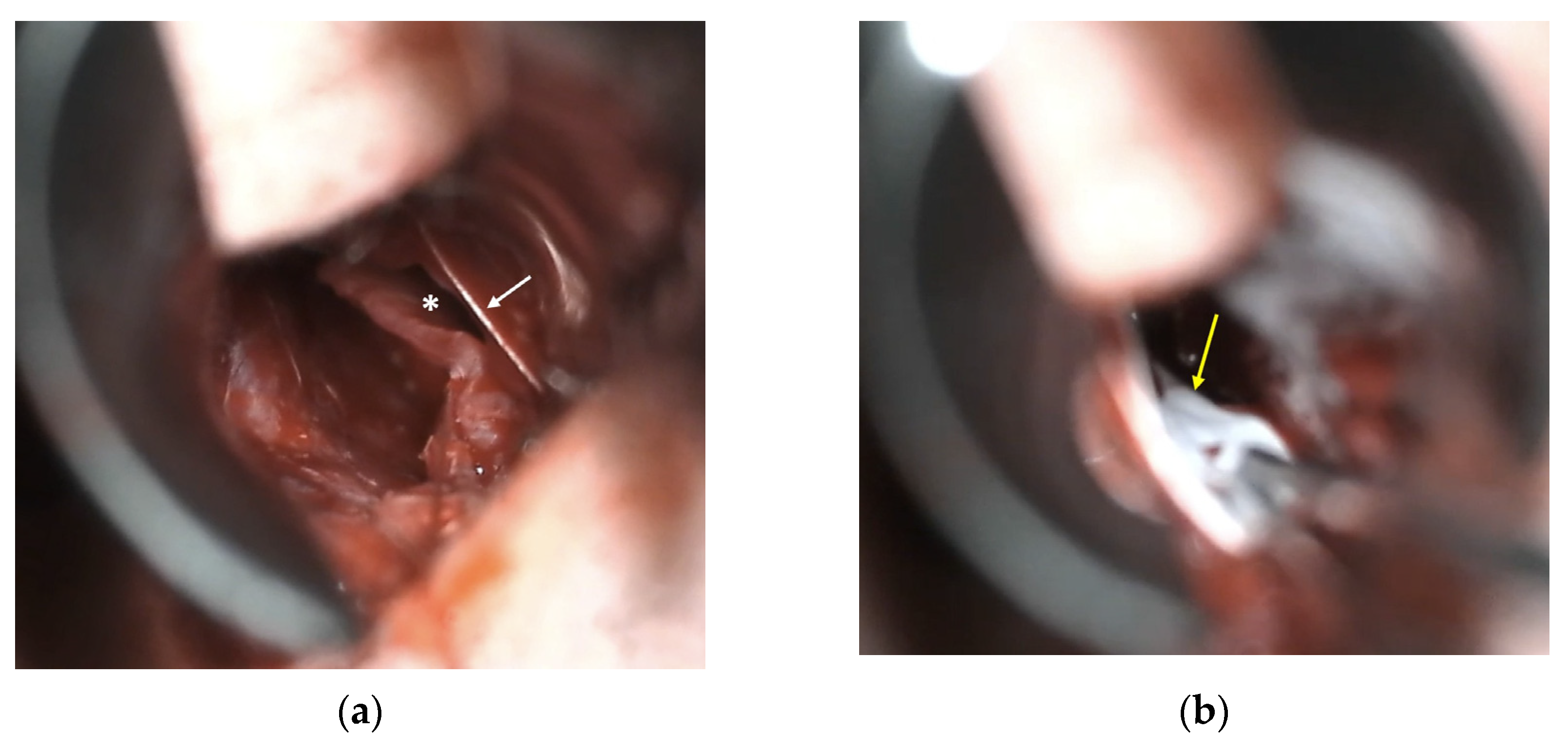 Jcm 14 04592 g001 Jcm 14 04592 g001