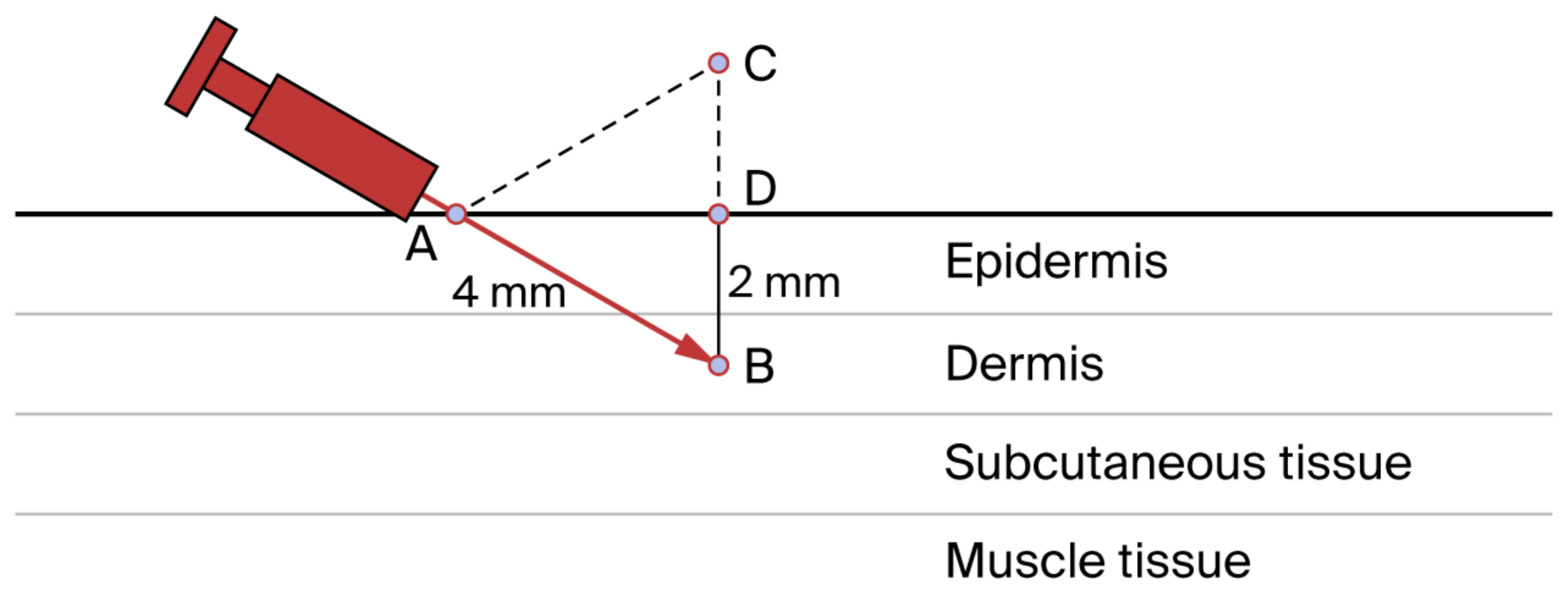 Jcm 14 04689 g002 Jcm 14 04689 g002