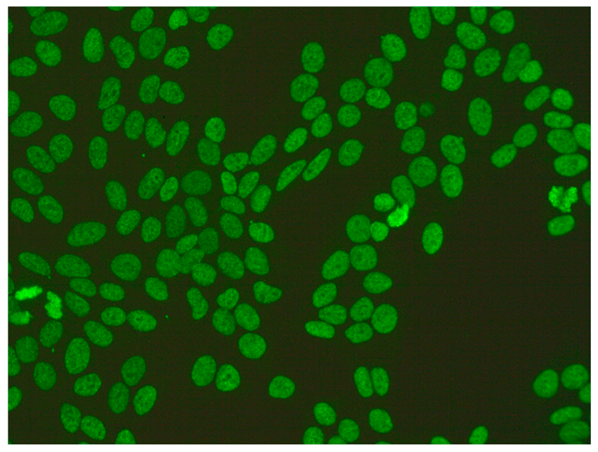 Jcm 14 05322 i002 Jcm 14 05322 i002