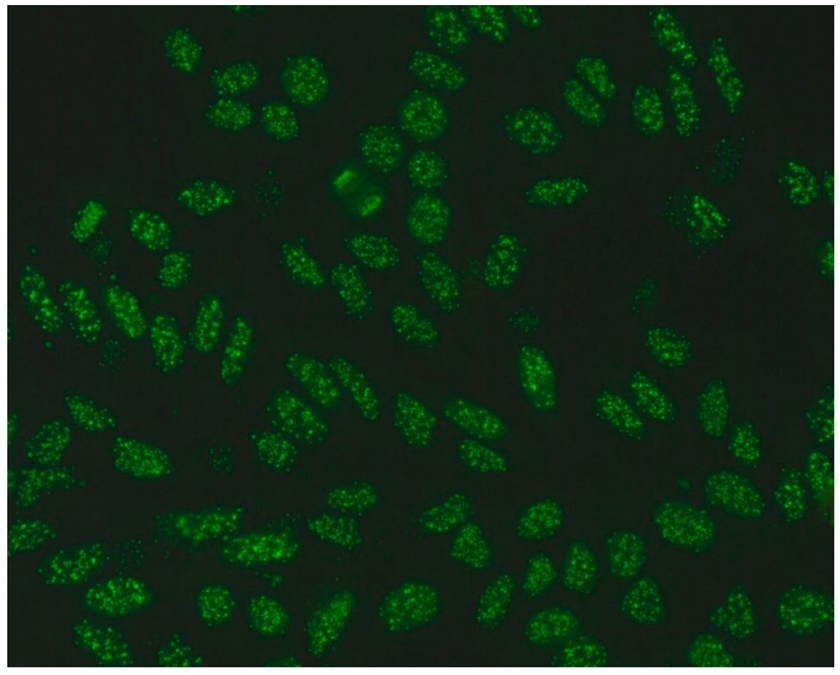 Jcm 14 05322 i003 Jcm 14 05322 i003