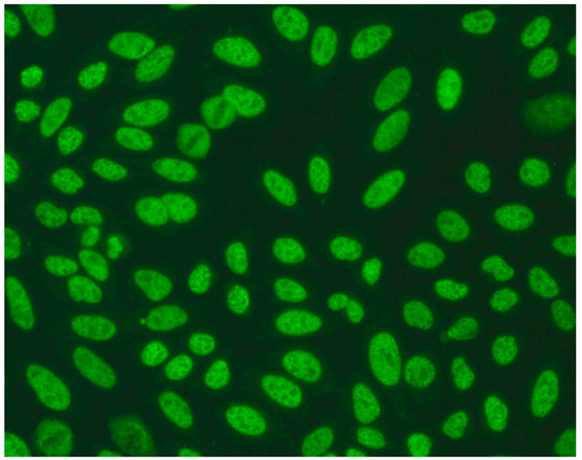 Jcm 14 05322 i004 Jcm 14 05322 i004