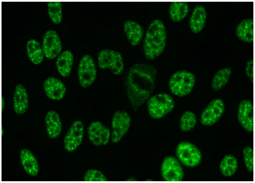 Jcm 14 05322 i005 Jcm 14 05322 i005