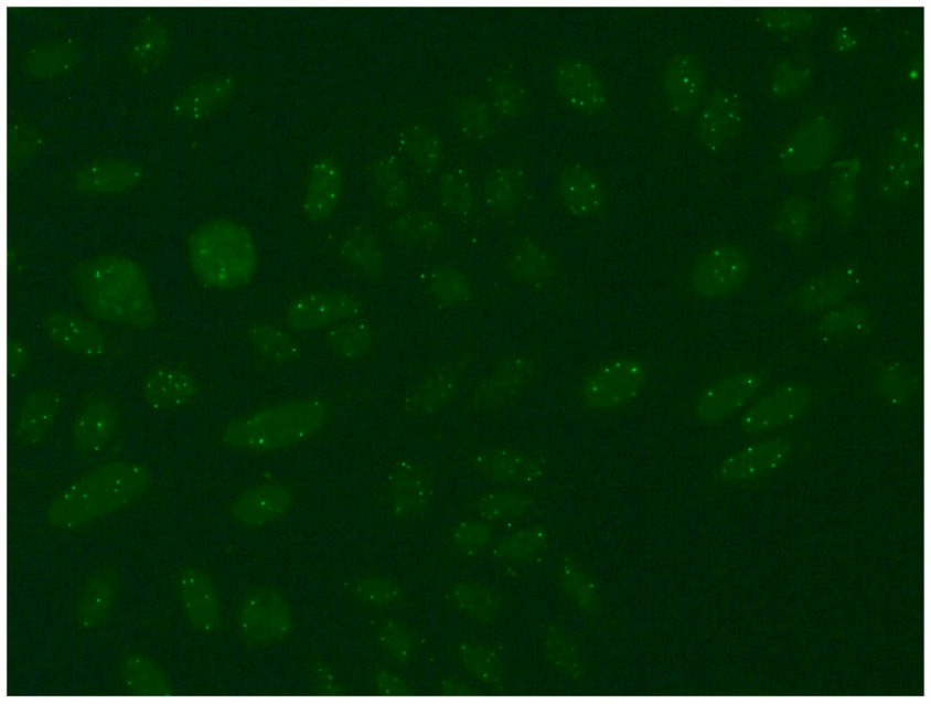 Jcm 14 05322 i006 Jcm 14 05322 i006