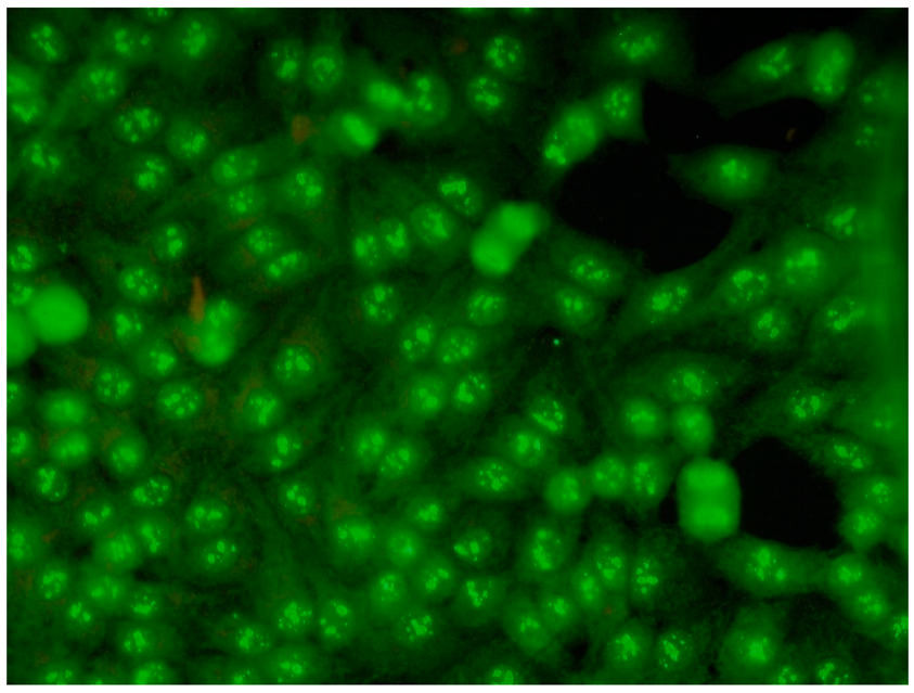 Jcm 14 05322 i007 Jcm 14 05322 i007