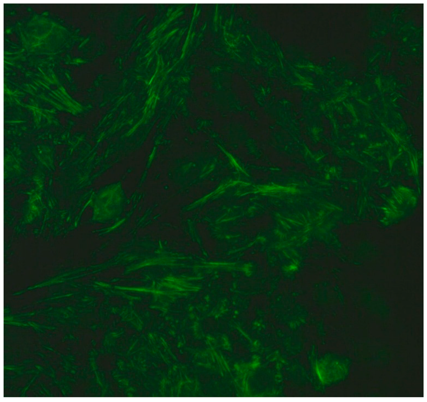 Jcm 14 05322 i009 Jcm 14 05322 i009