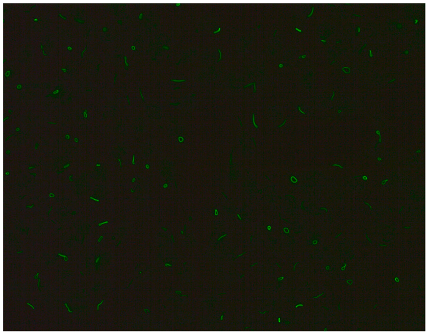 Jcm 14 05322 i010 Jcm 14 05322 i010