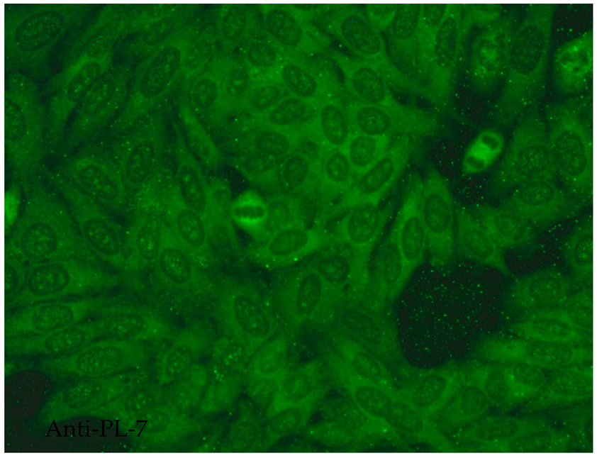 Jcm 14 05322 i011 Jcm 14 05322 i011