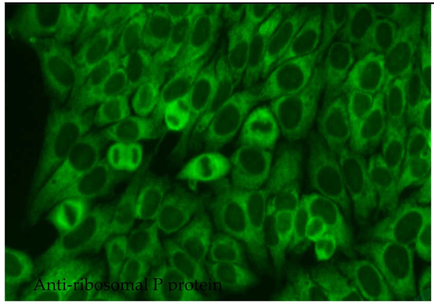 Jcm 14 05322 i012 Jcm 14 05322 i012