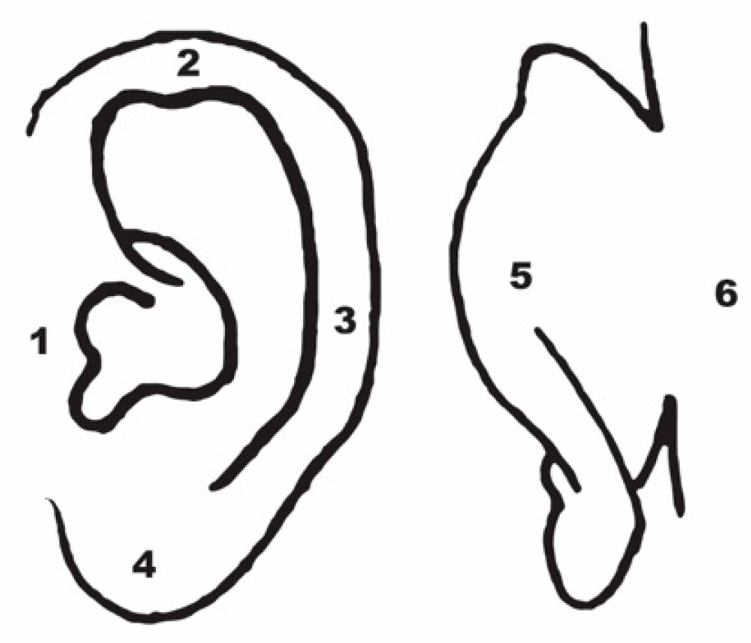 Jcm 14 06689 g001 Jcm 14 06689 g001