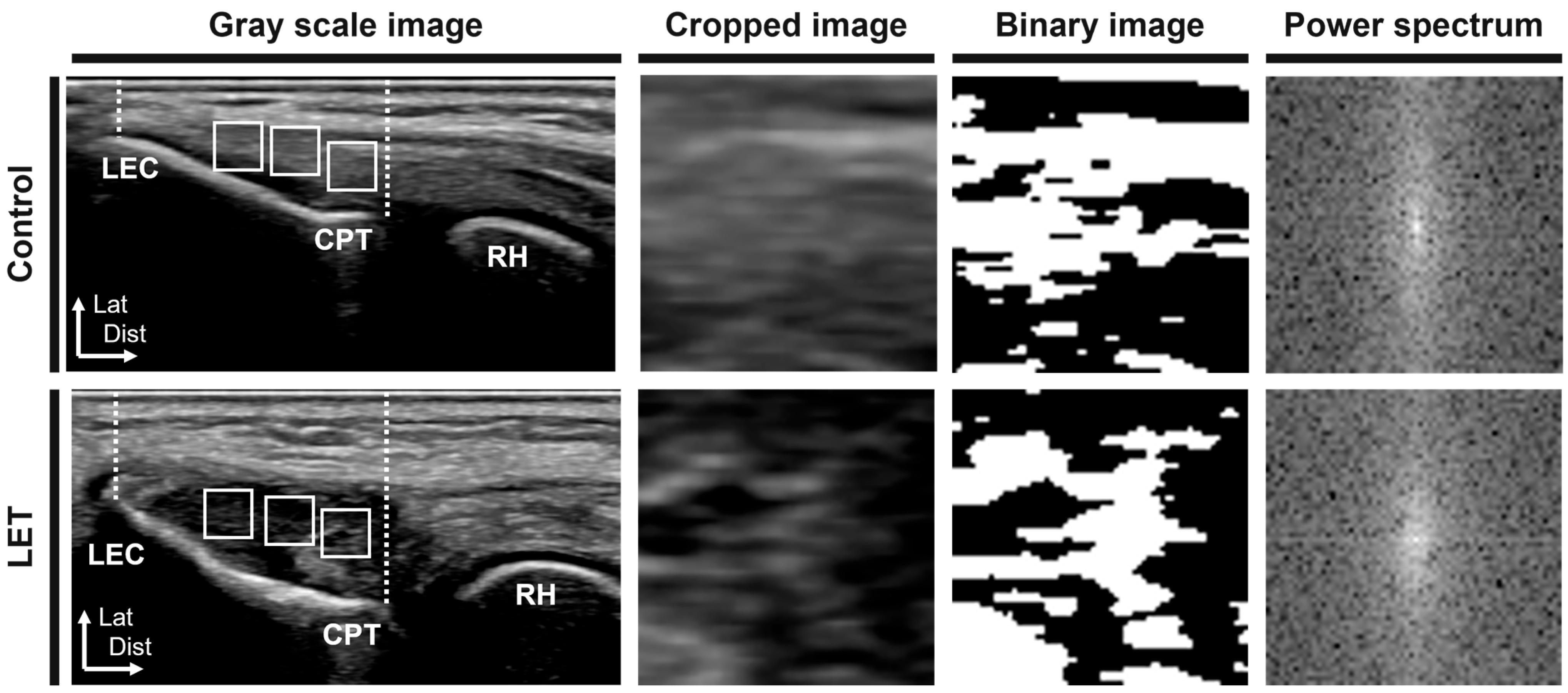 Jcm 14 06979 g002 Jcm 14 06979 g002